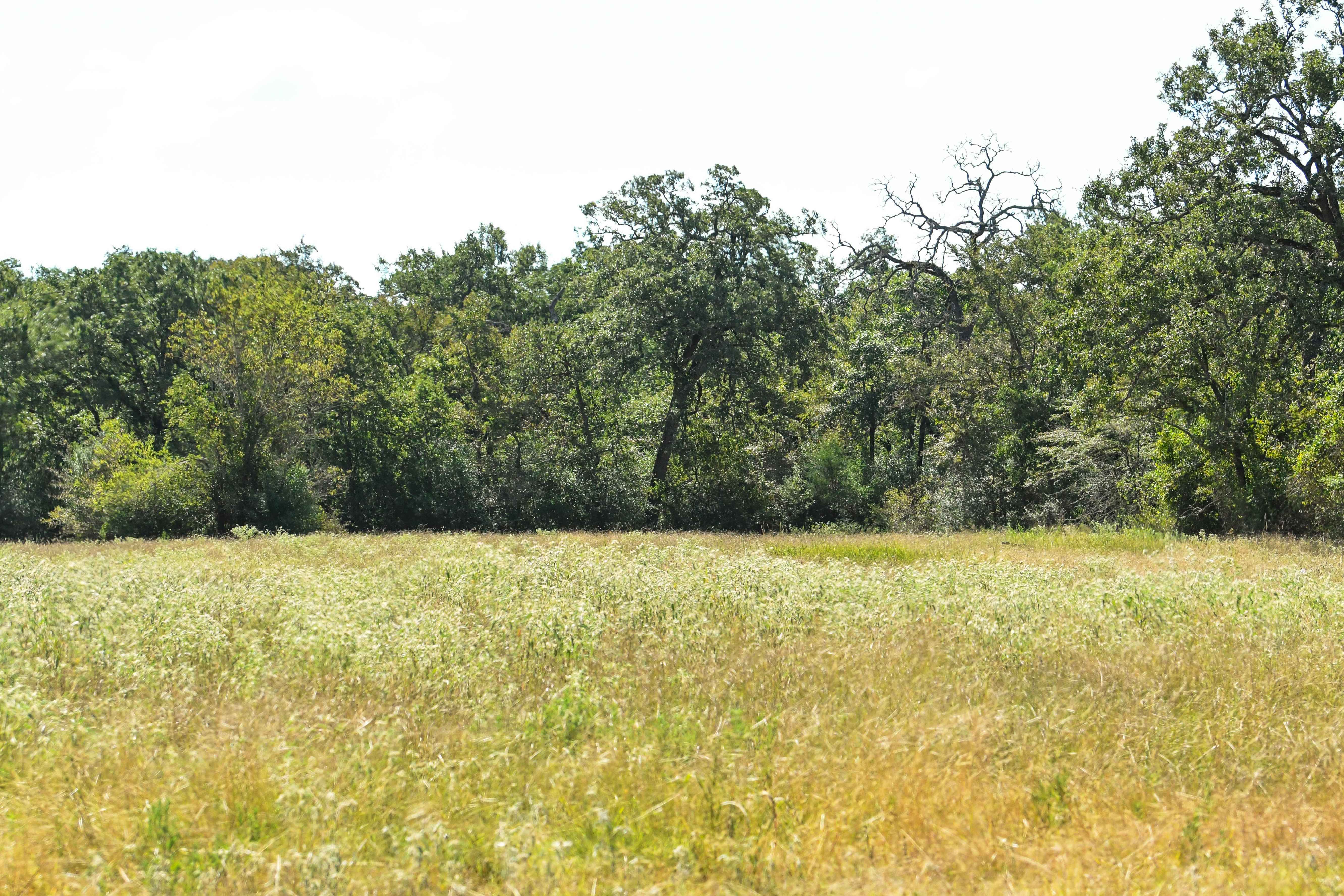 North Zulch, TX - Tract 9,13806 Bundic Rd