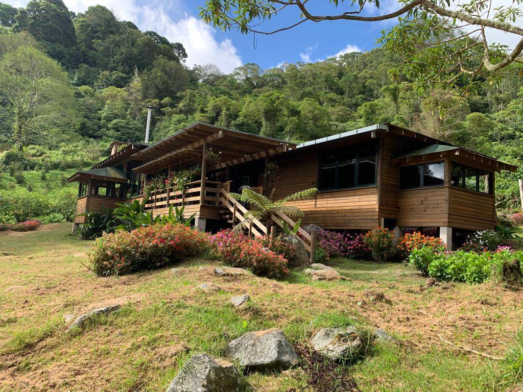 Cerro Punta