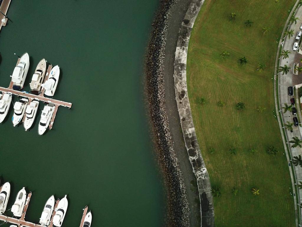 Ocean Reef