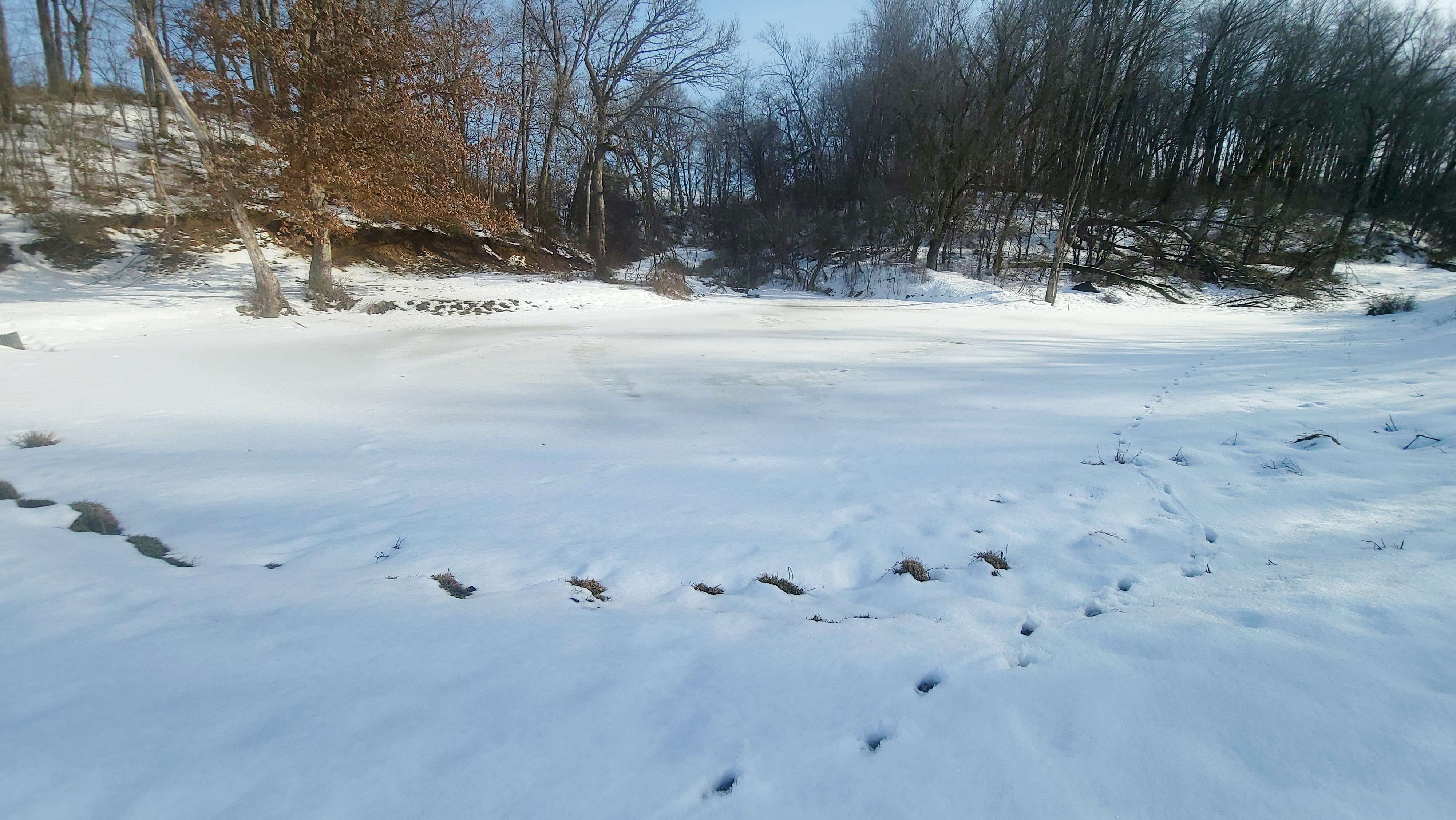 0 Nova Ave. Kendall, Wi 54638,