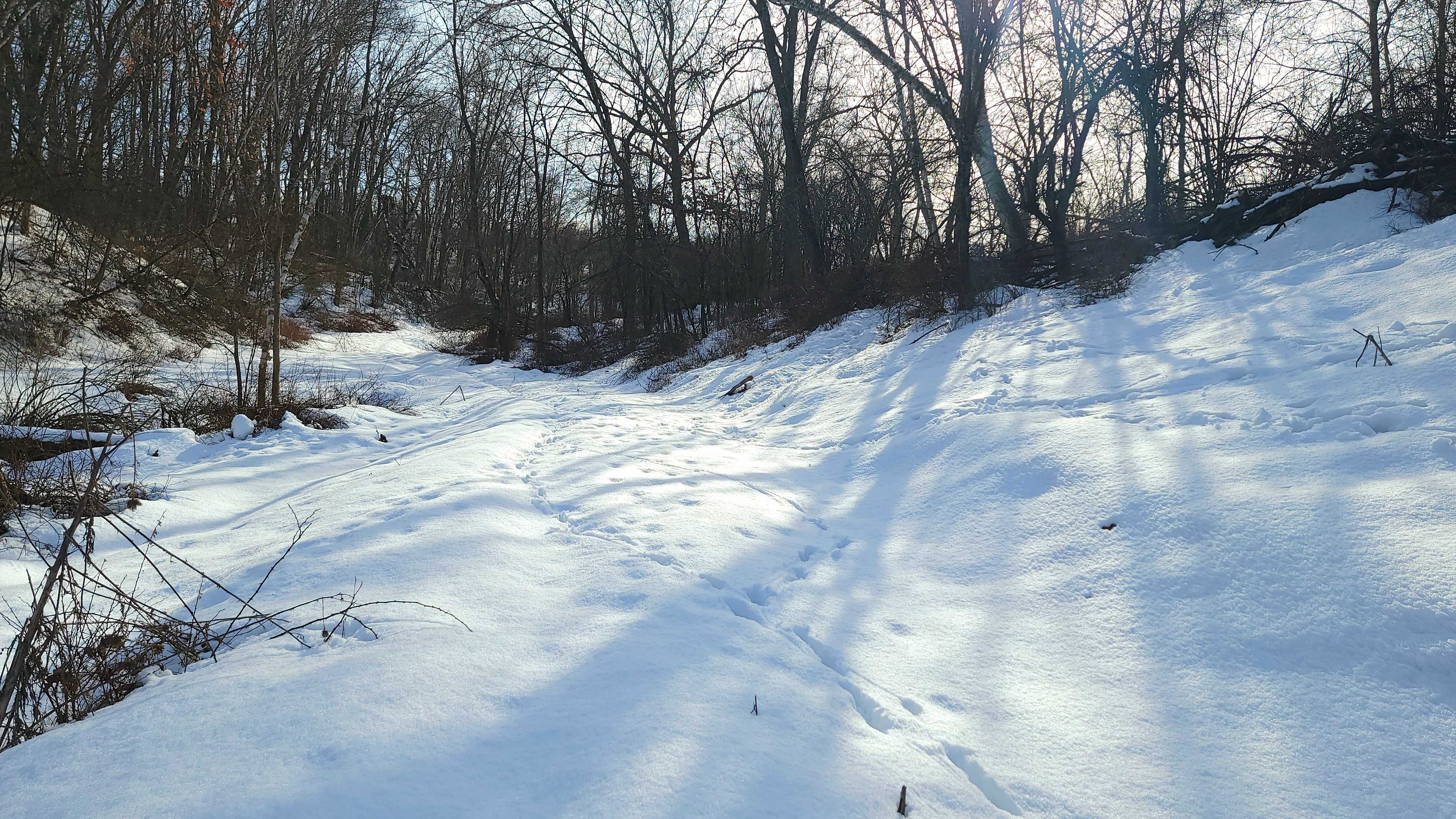 0 Nova Ave. Kendall, Wi 54638,