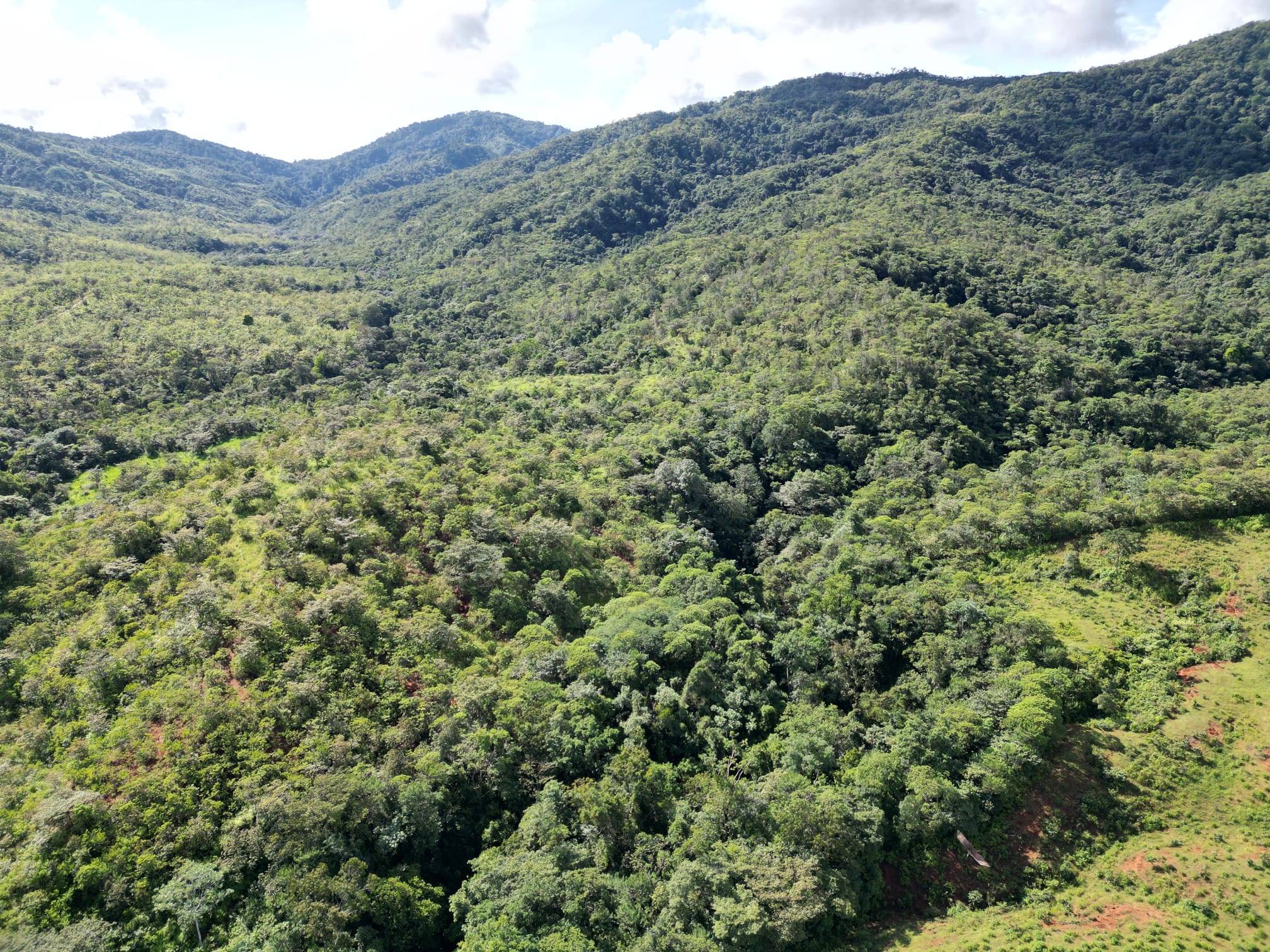 Torio - Veraguas