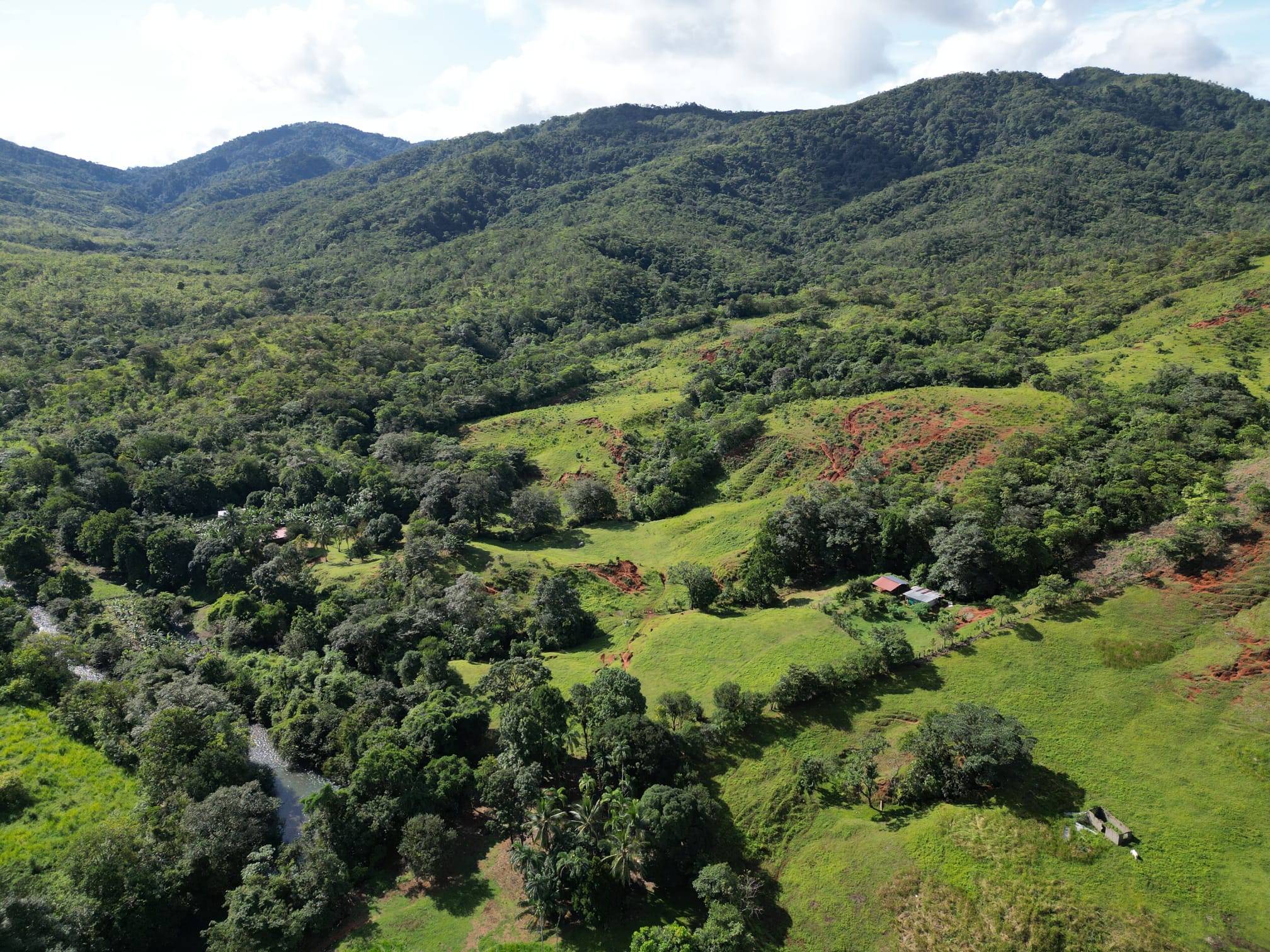 Torio - Veraguas