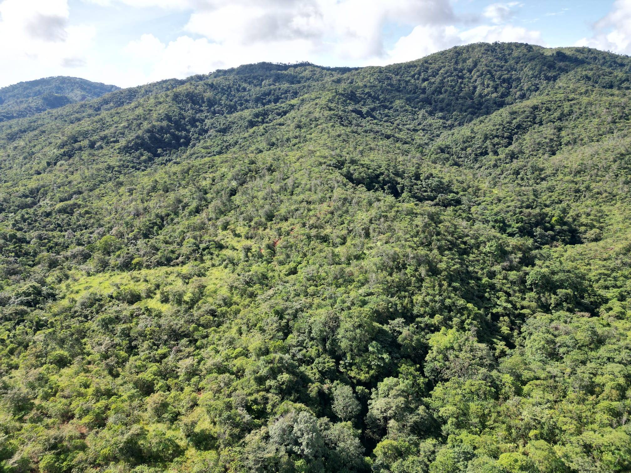 Torio - Veraguas
