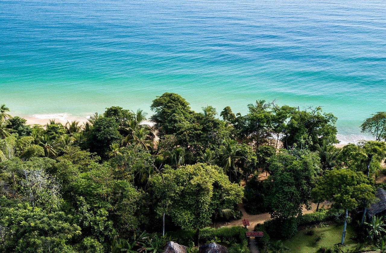 Bocas del Toro
