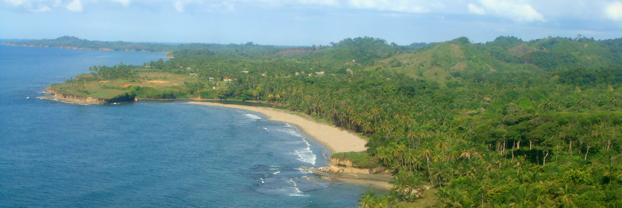 Colon