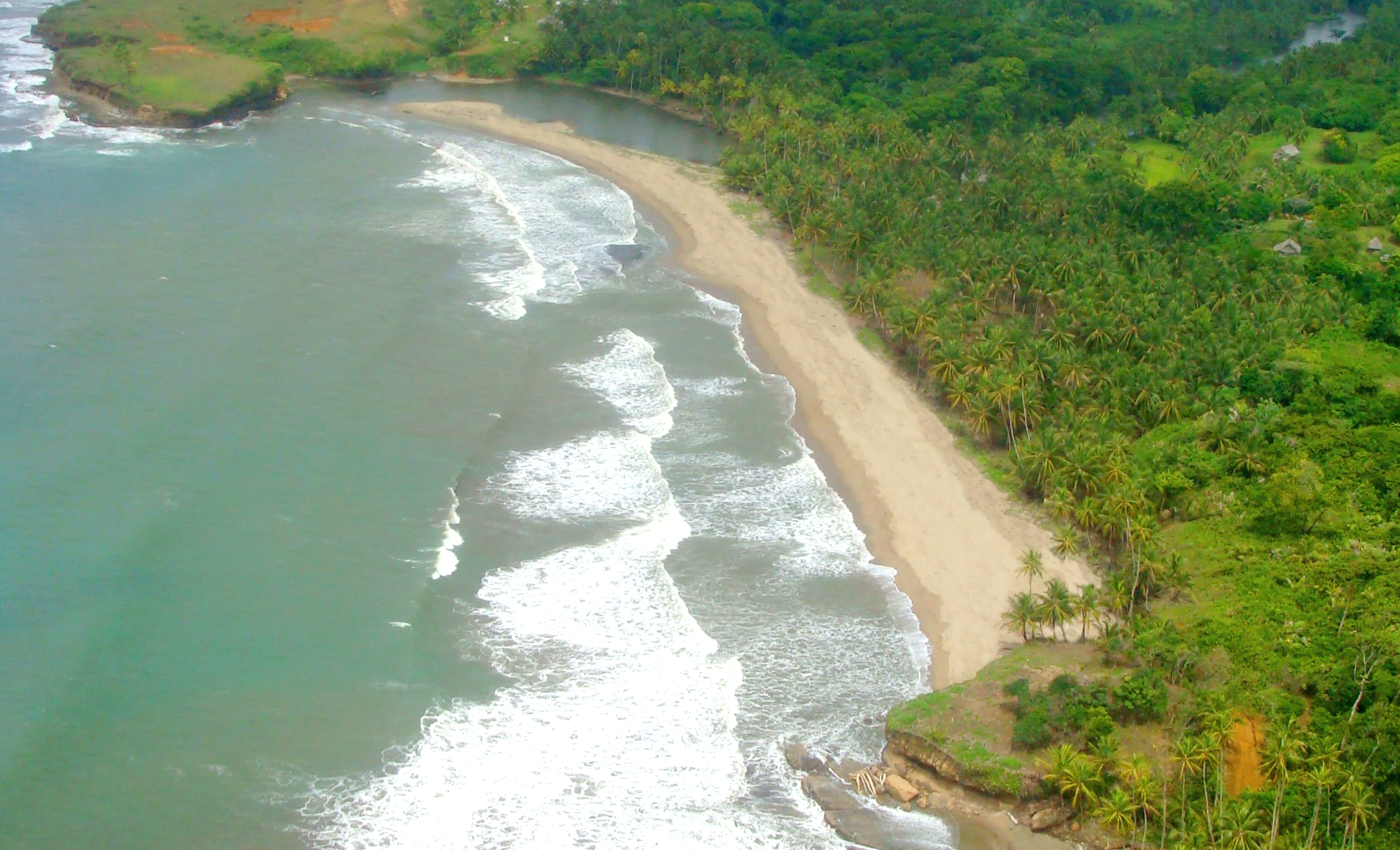 Colon