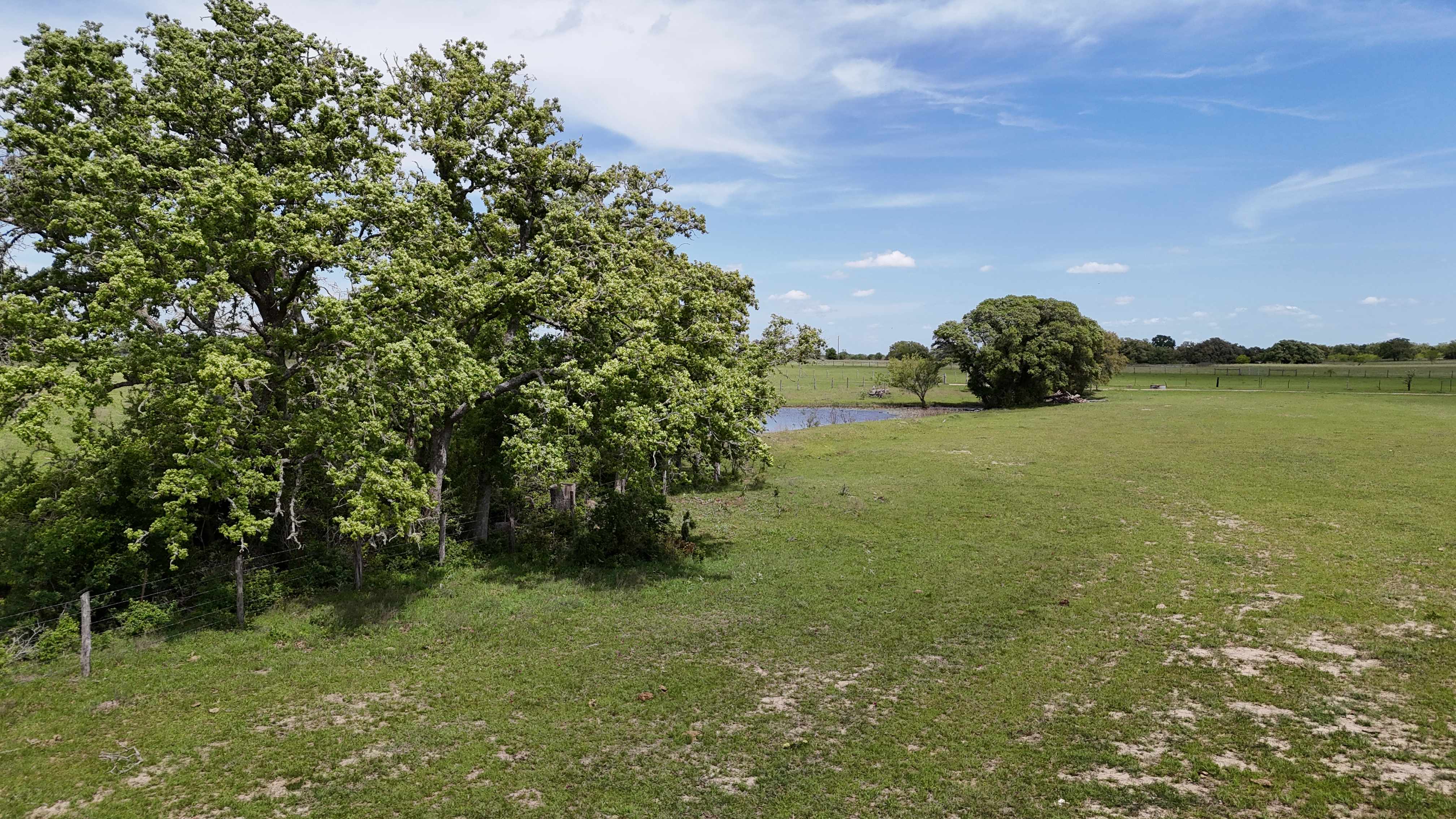 Tx 77836,,Tract 3 - CR 413 Caldwell