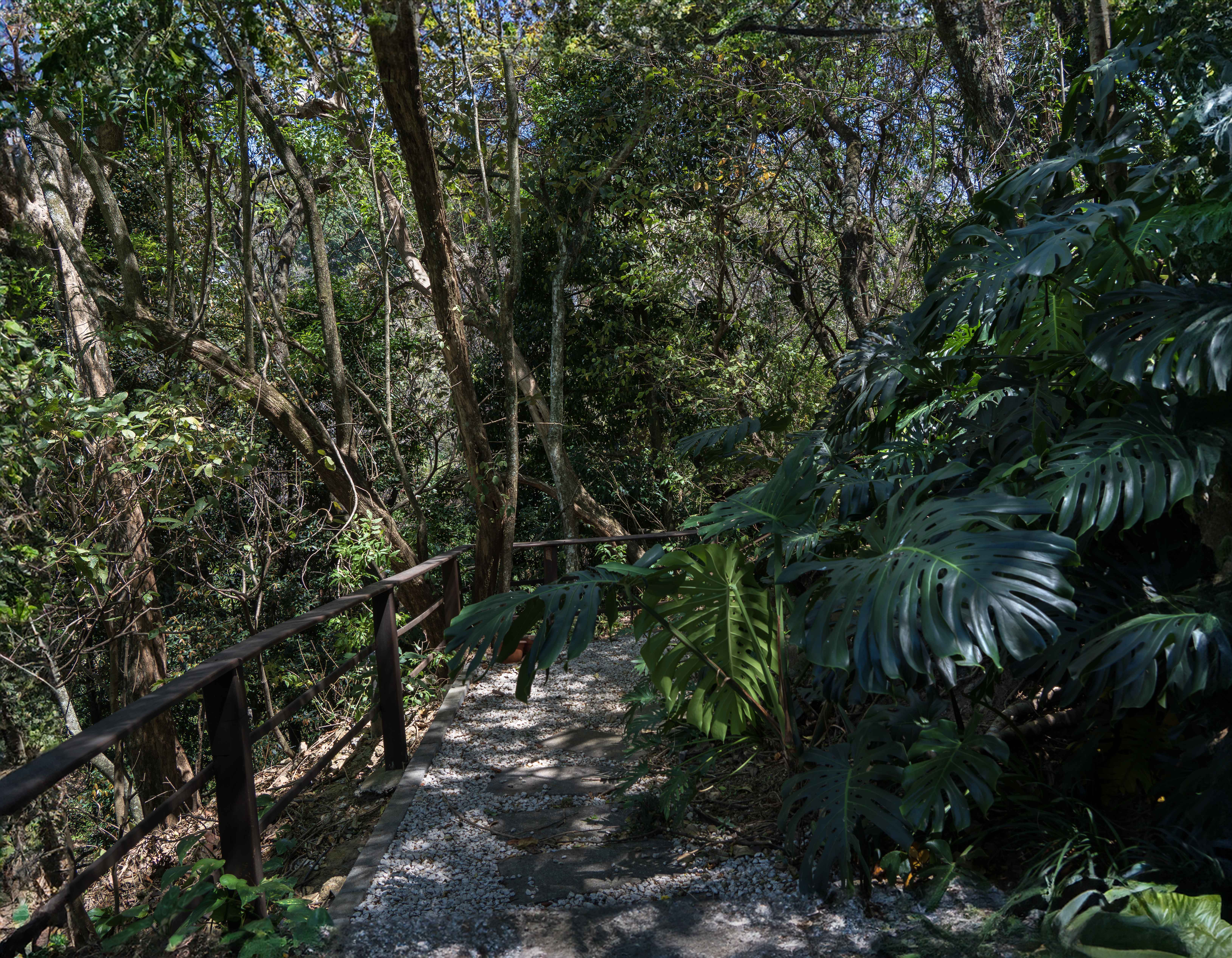 Santa Ana,,Villa Real