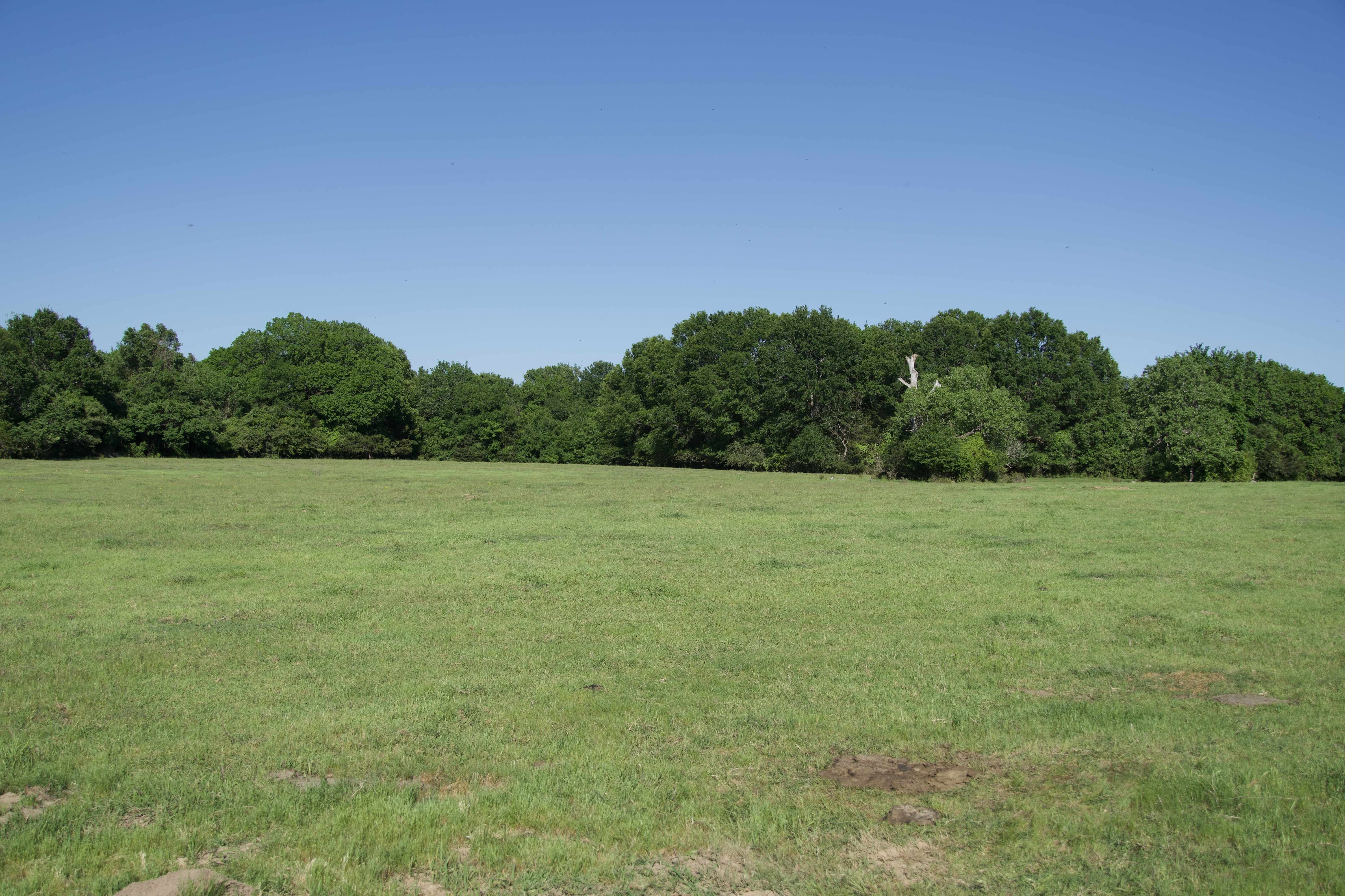 Paige, TX 78659,Tract 10 - St. Delight Rd