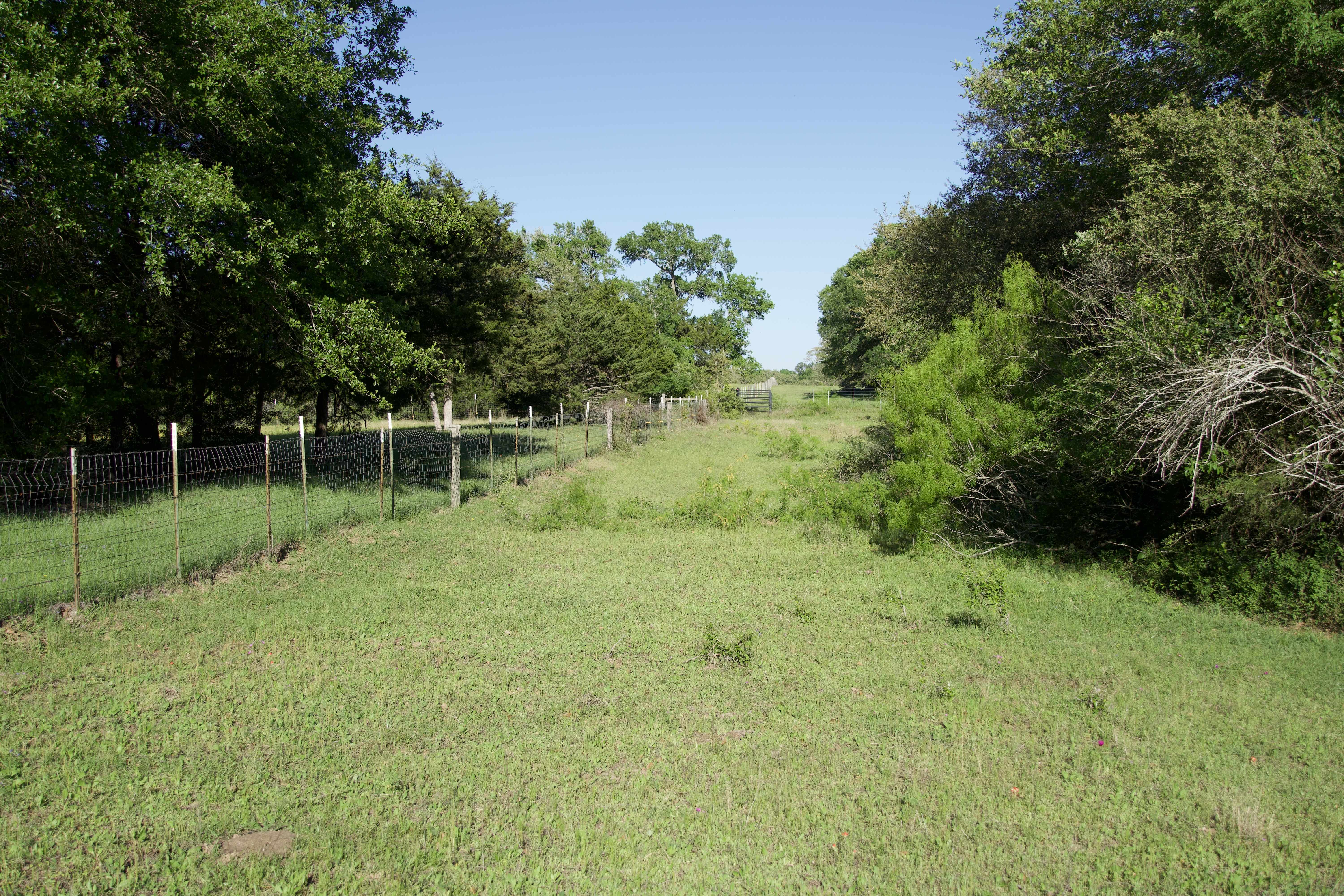 Paige, TX 78659,Tract 7 - St. Delight Rd