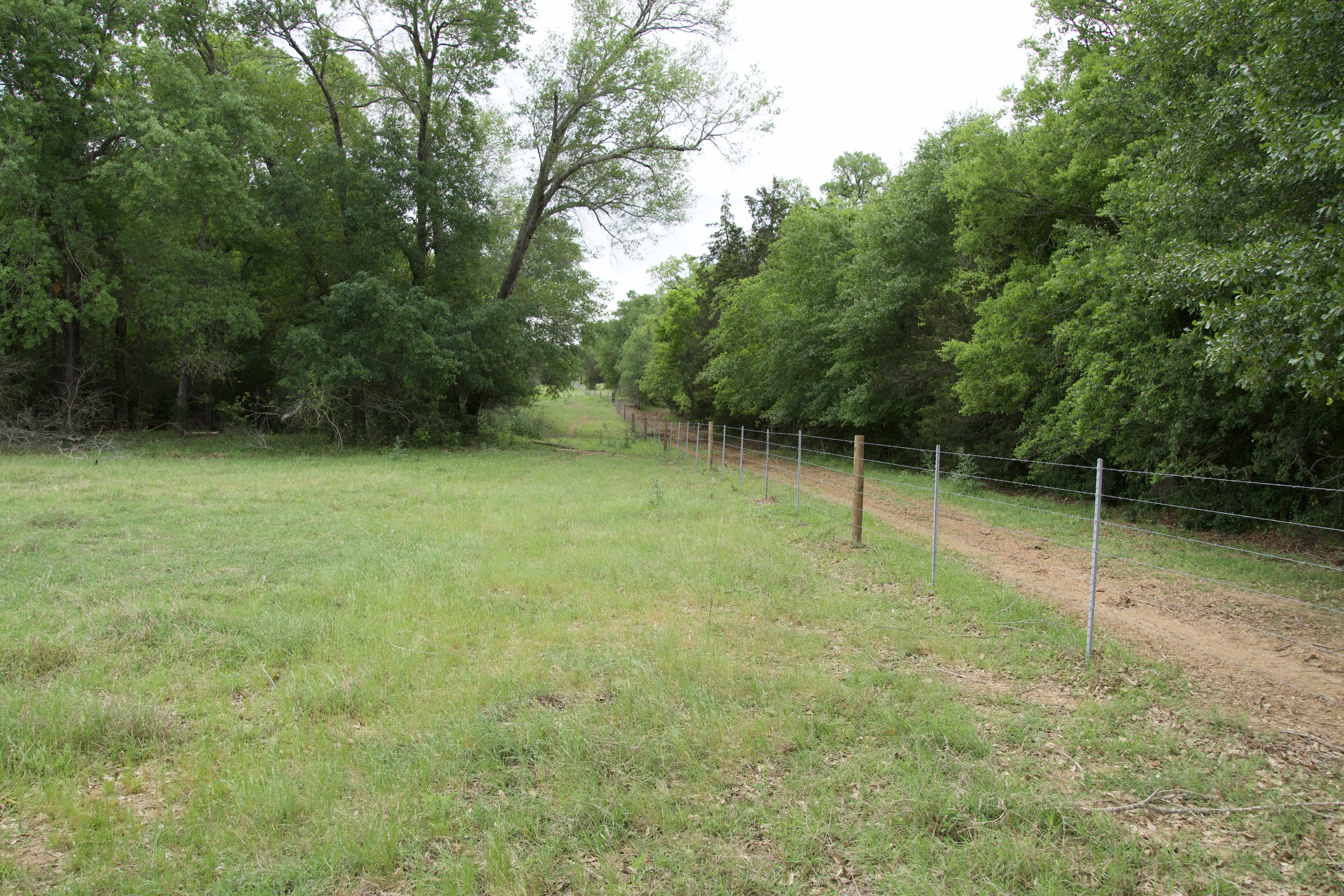 Paige, TX 78659,Tract 5 - St. Delight Rd