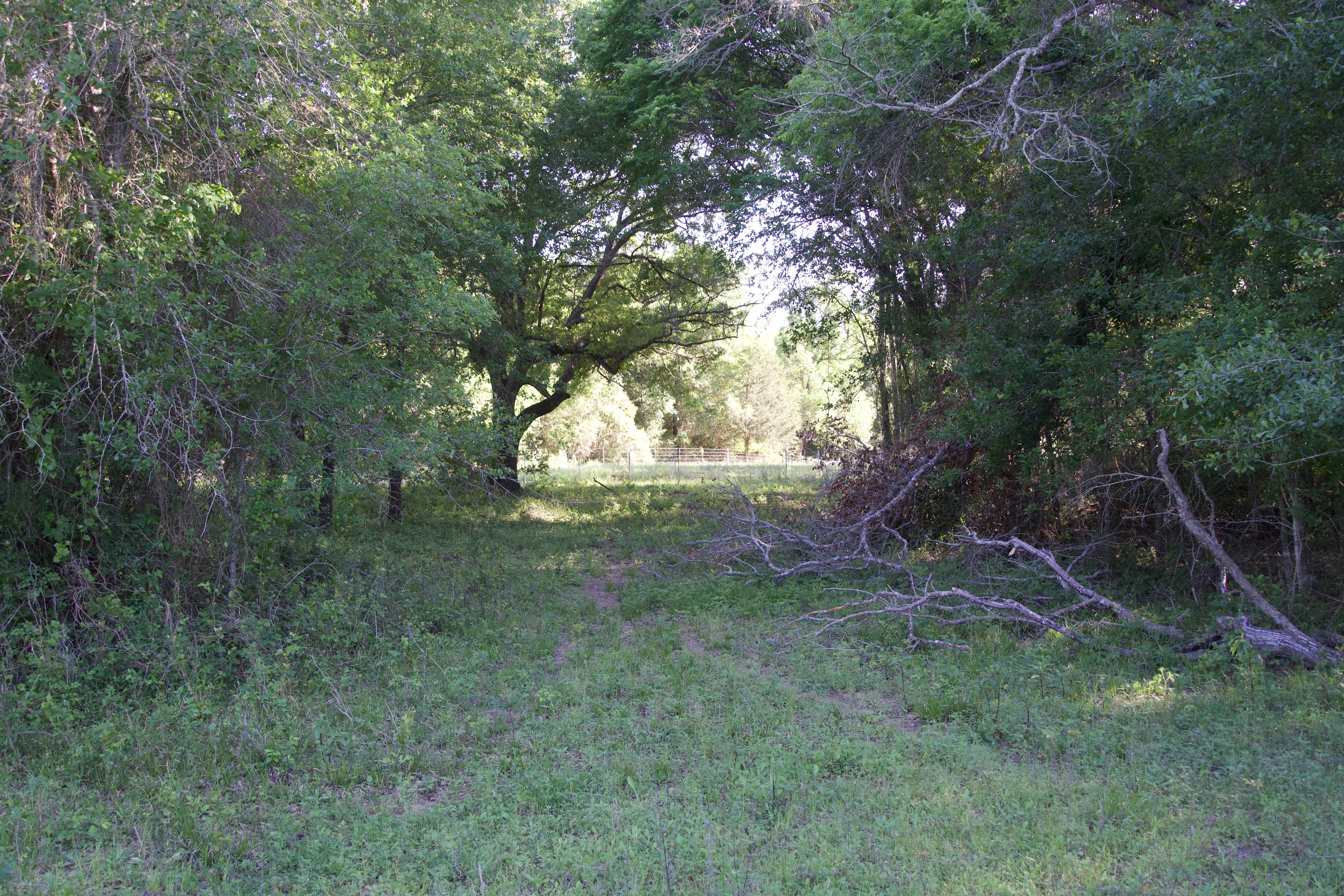 Paige, TX 78659,Tract 7 - St. Delight Rd