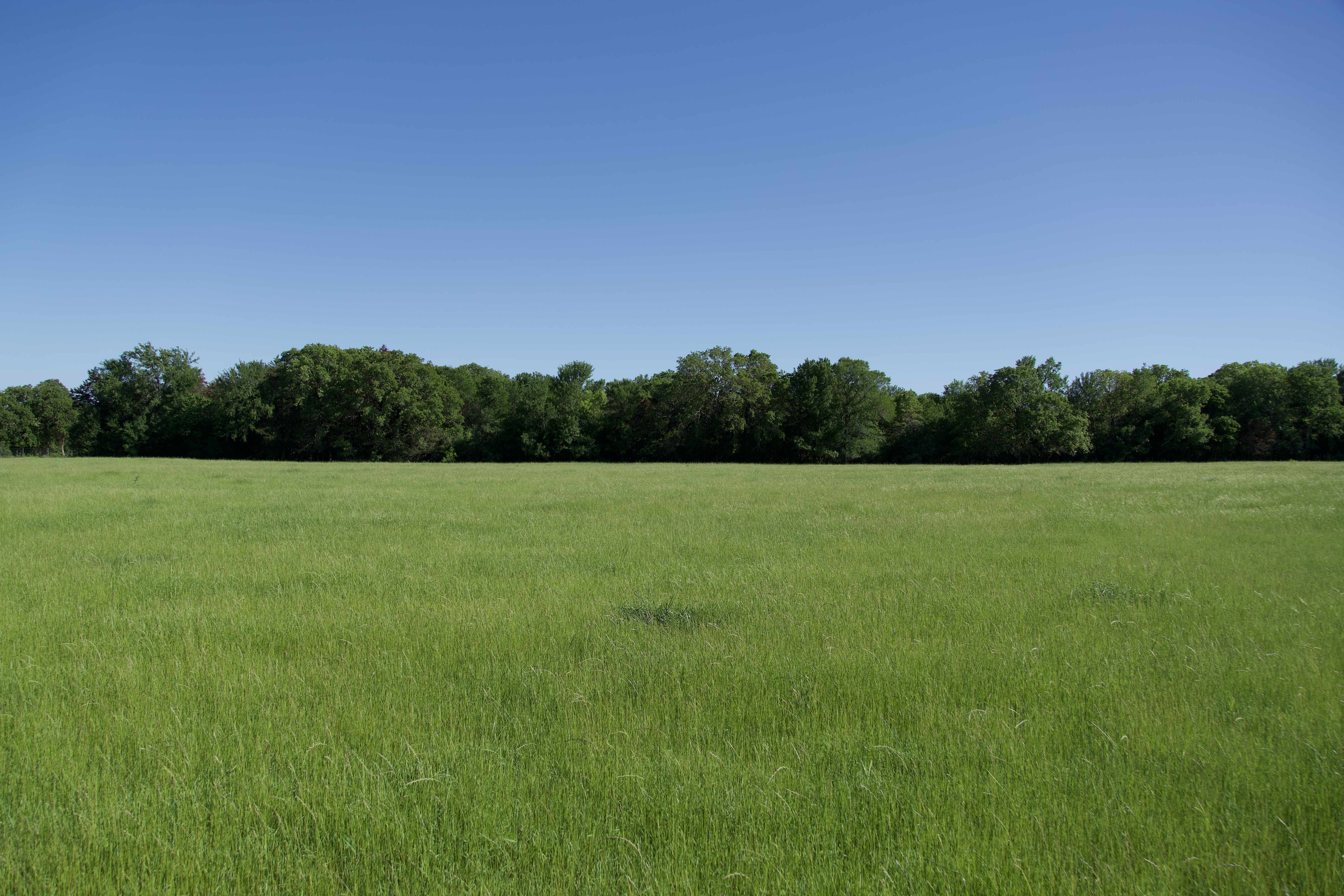 Paige, TX 78659,Tract 4 - St. Delight Rd