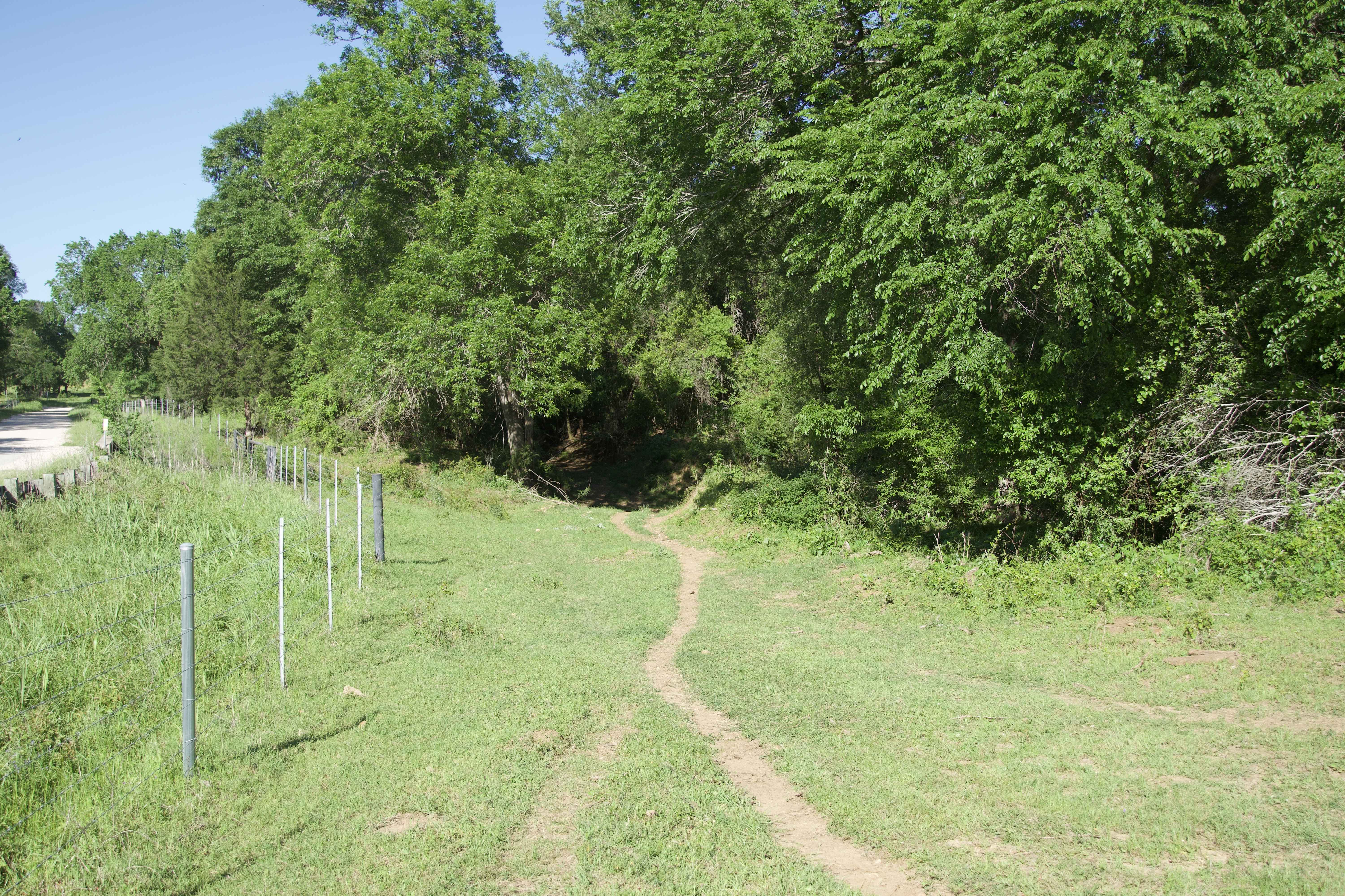 Paige, TX 78659,Tract 10 - St. Delight Rd