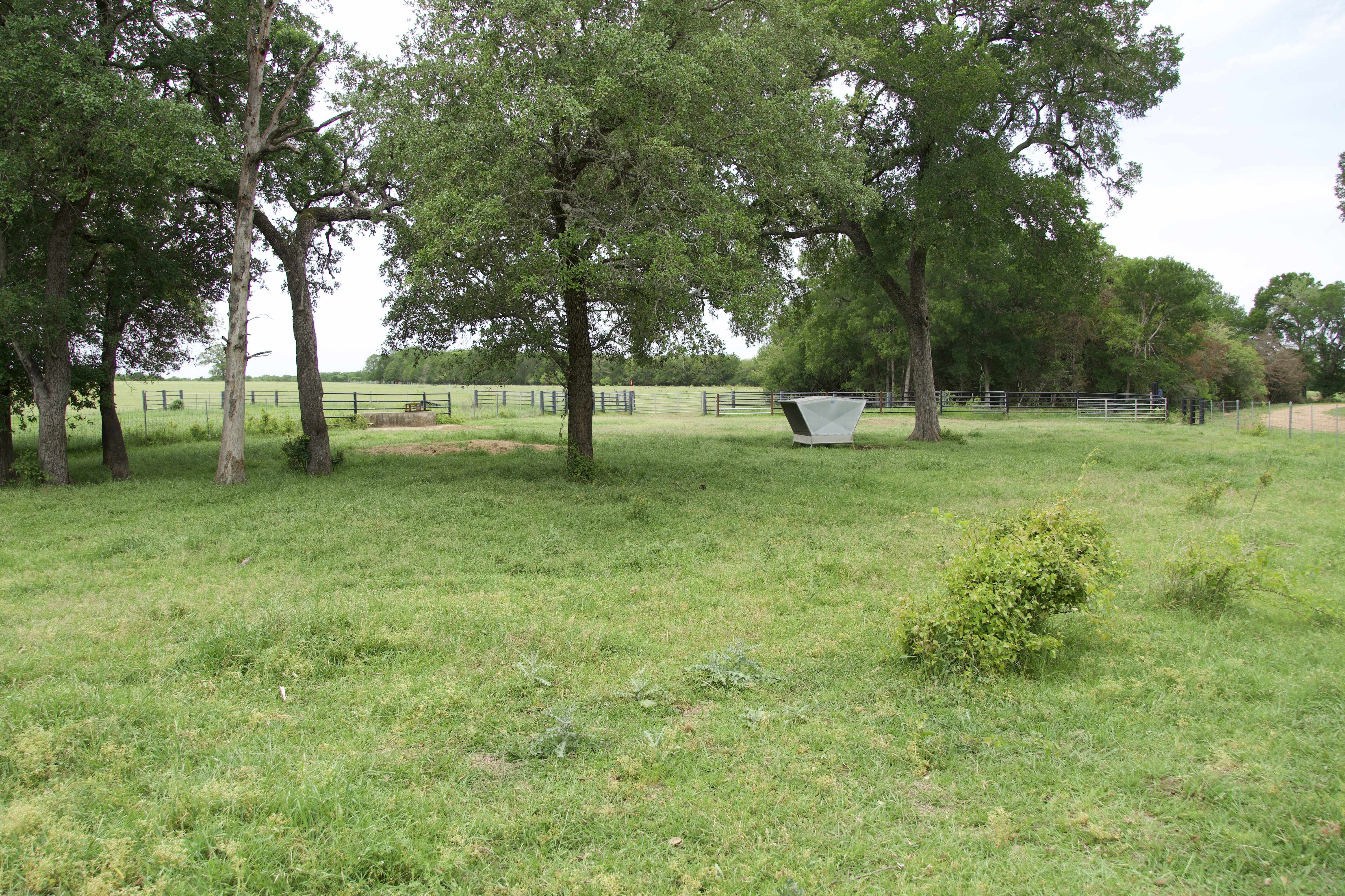 Paige, TX 78659,Tract 6 - St. Delight Rd