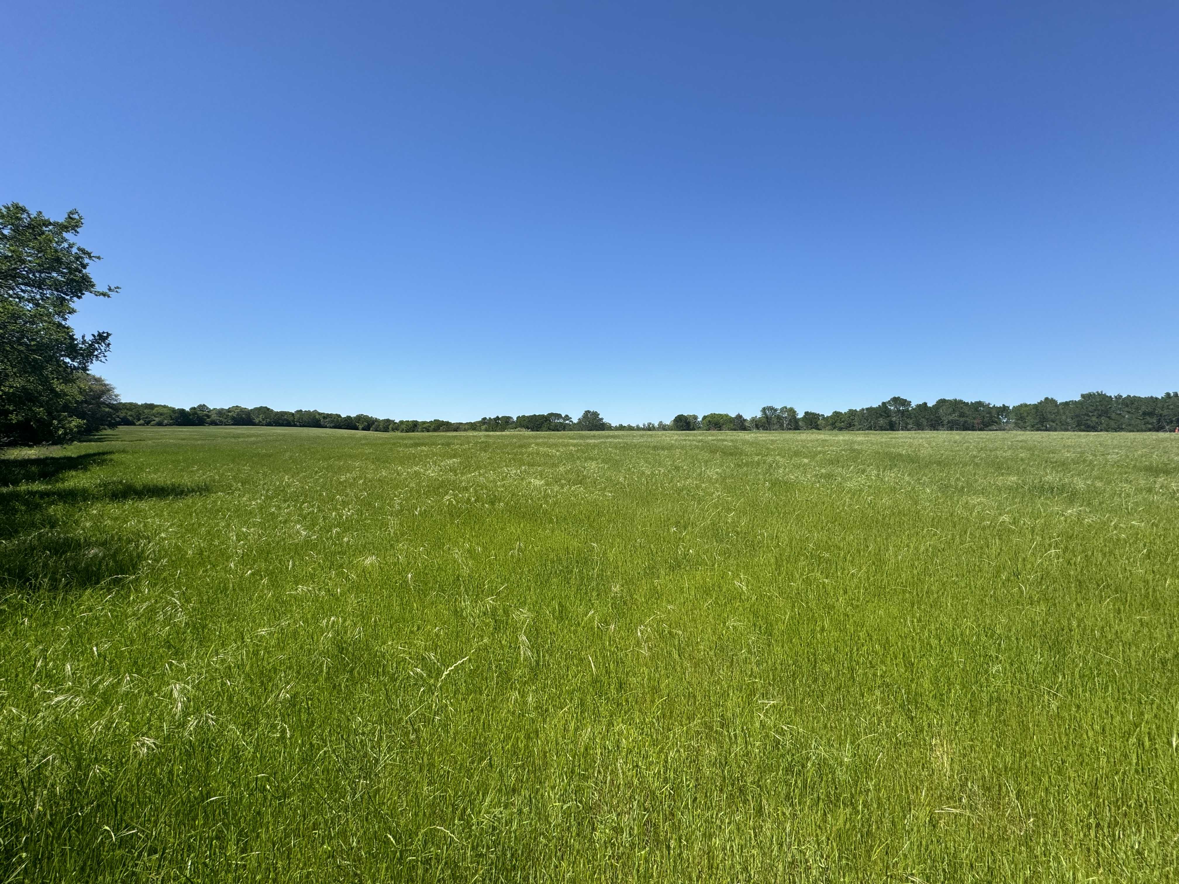 Paige, TX 78659,Tract 2 - St. Delight Rd