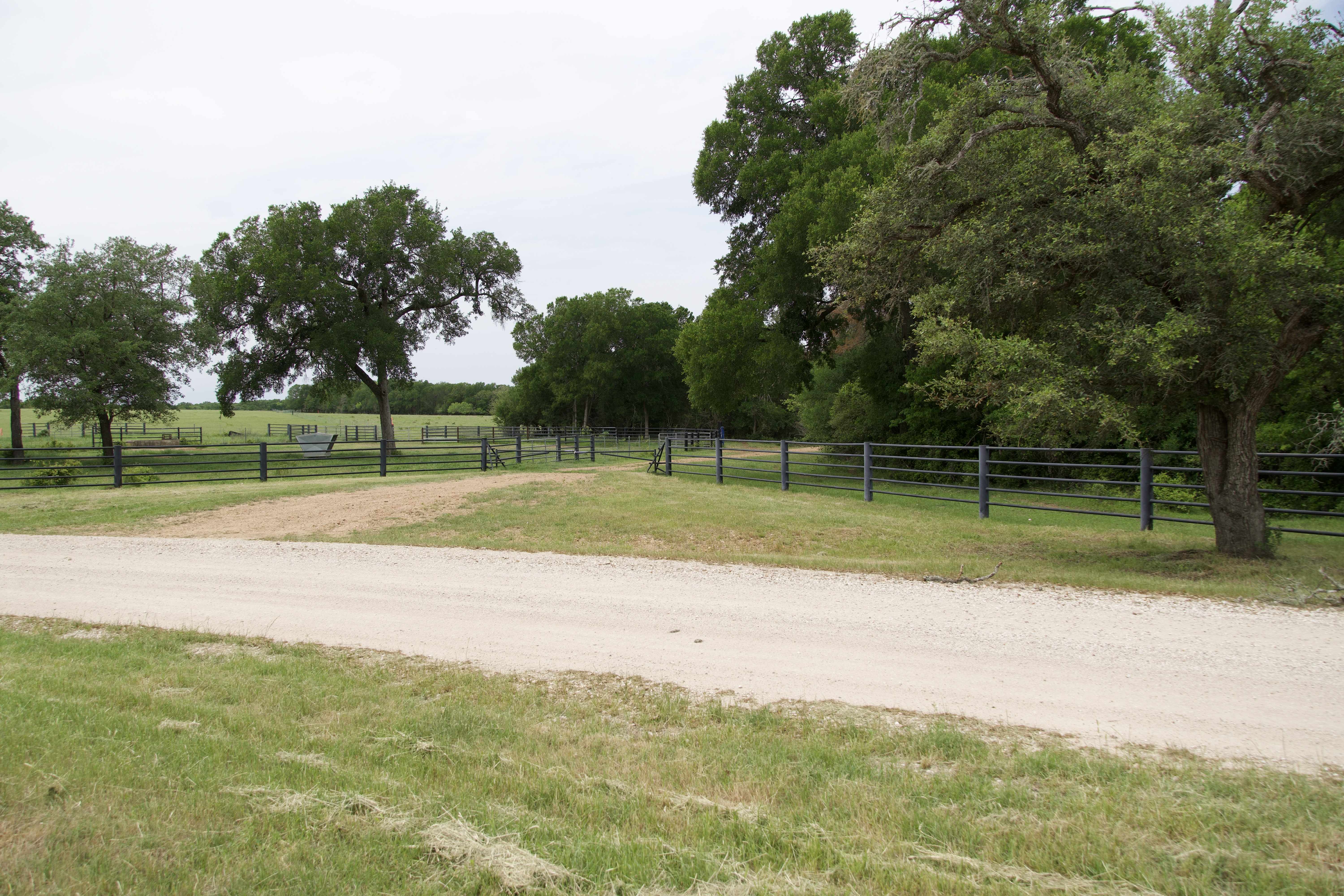 Paige, TX 78659,Tract 6 - St. Delight Rd