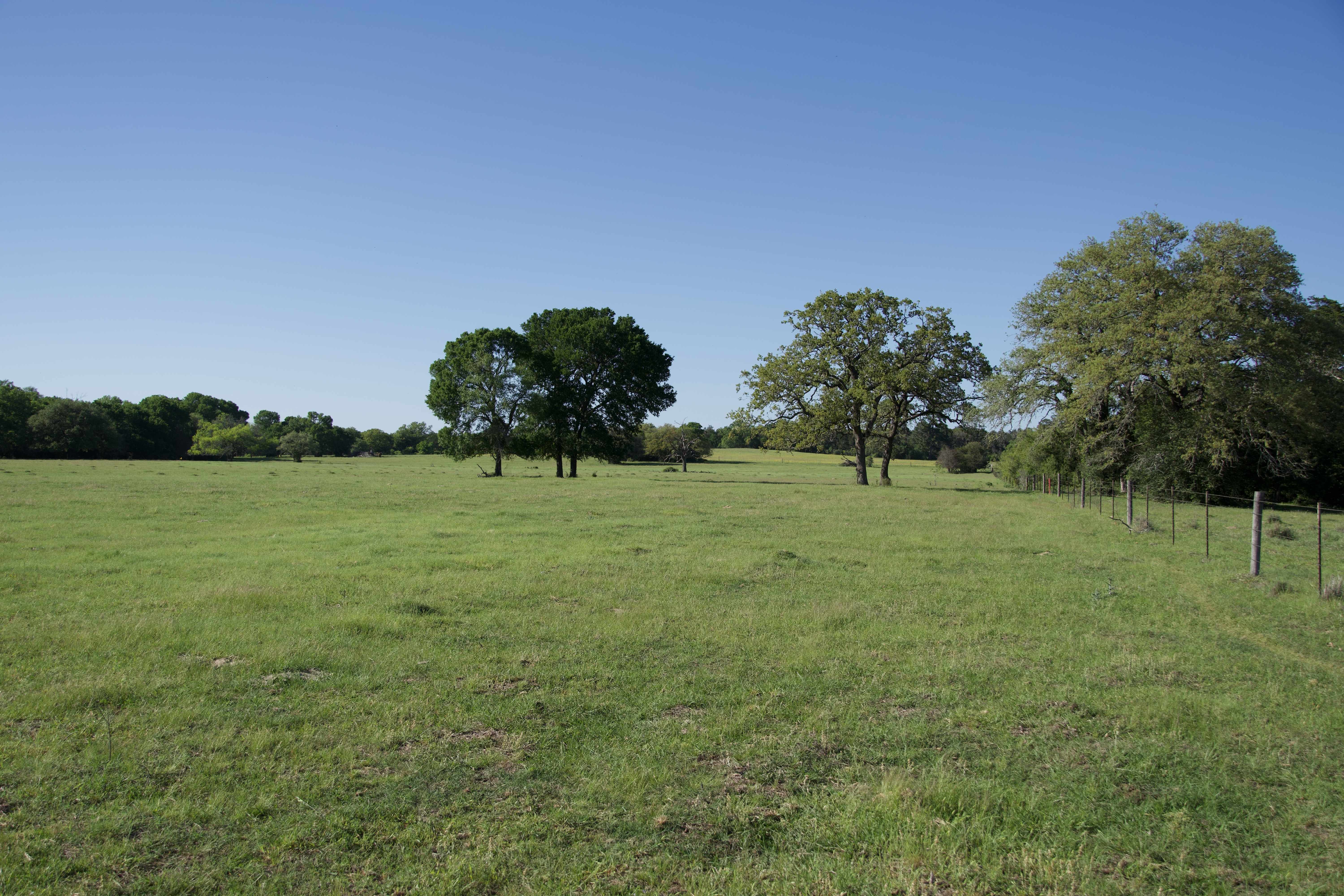 Paige, TX 78659,Tract 9 - St. Delight Rd