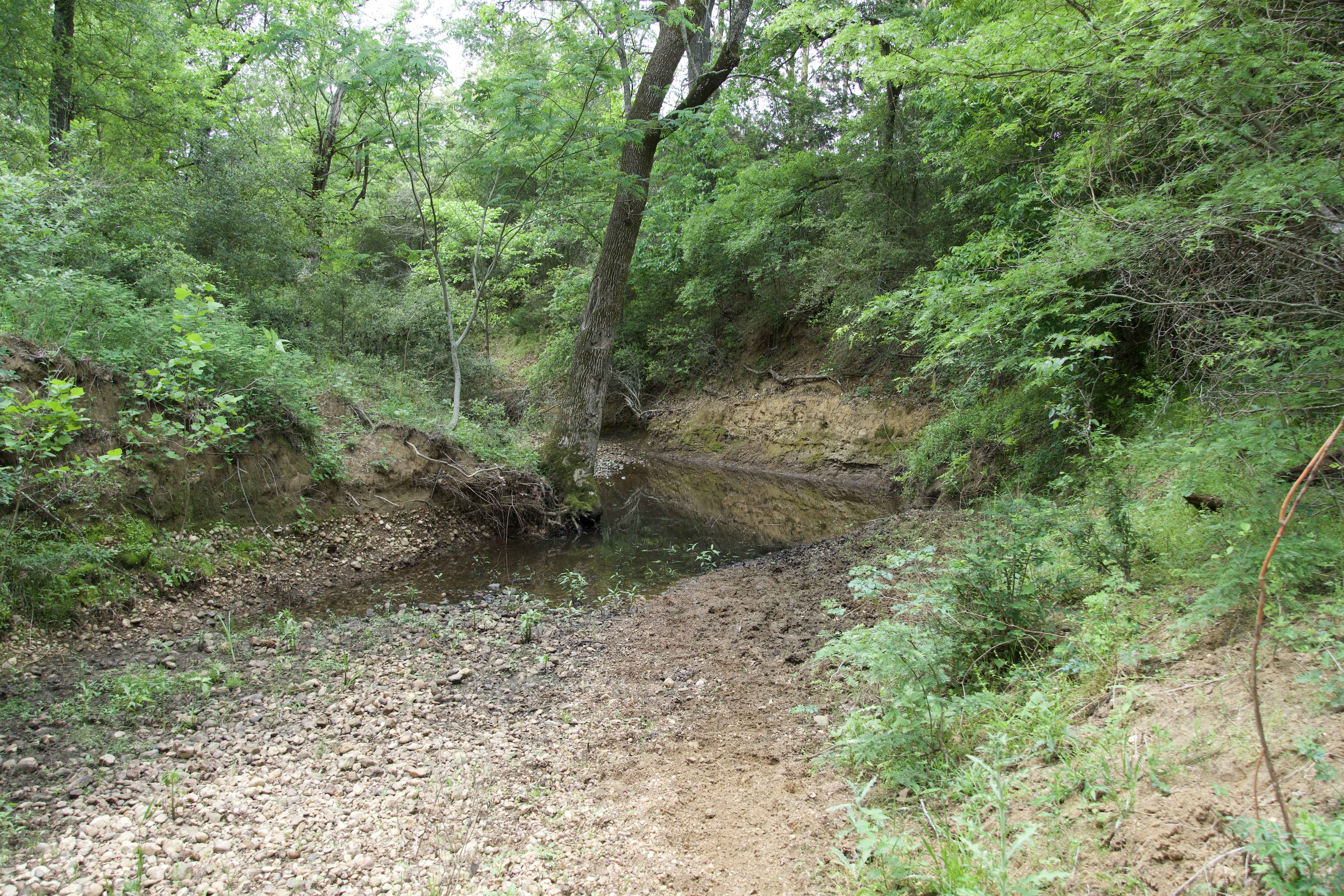 Paige, TX 78659,Tract 10 - St. Delight Rd