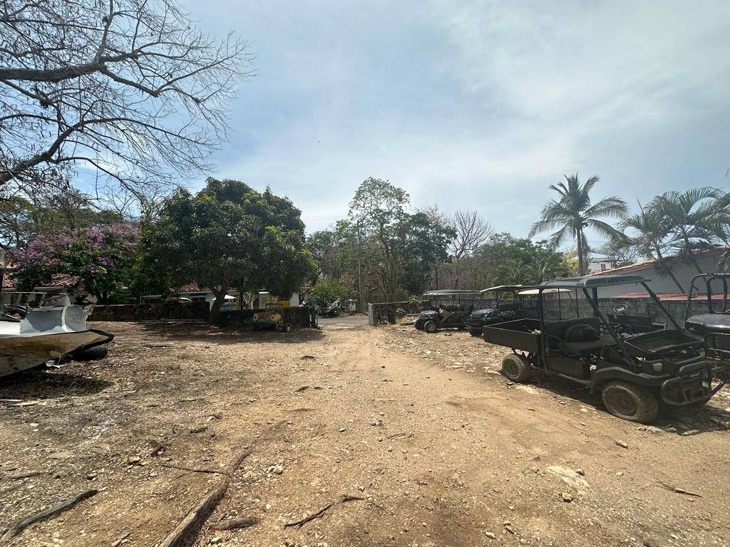 Contadora Island