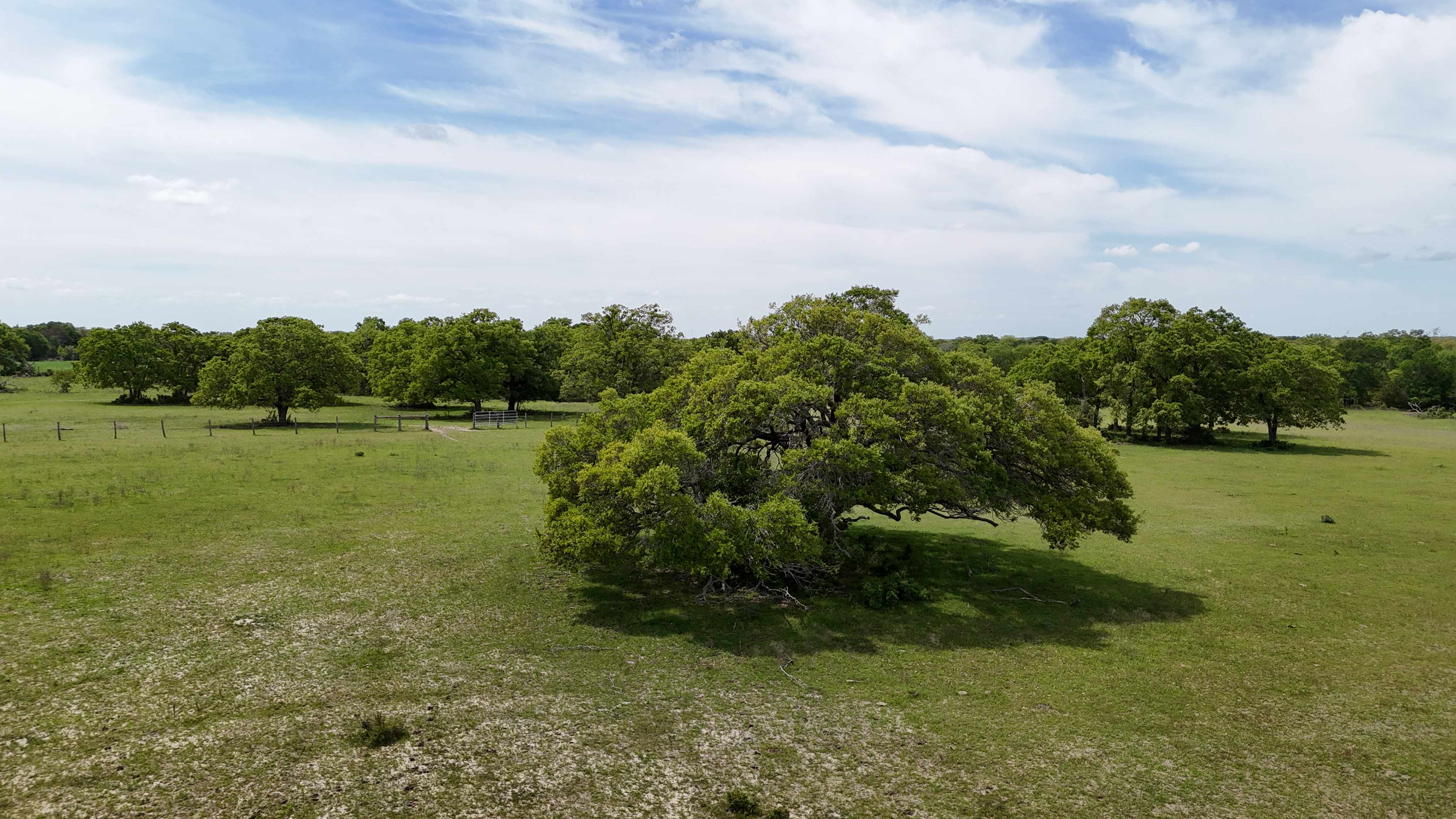 Tx 77863,,Tract 6 - TBD FM 60 Lyons