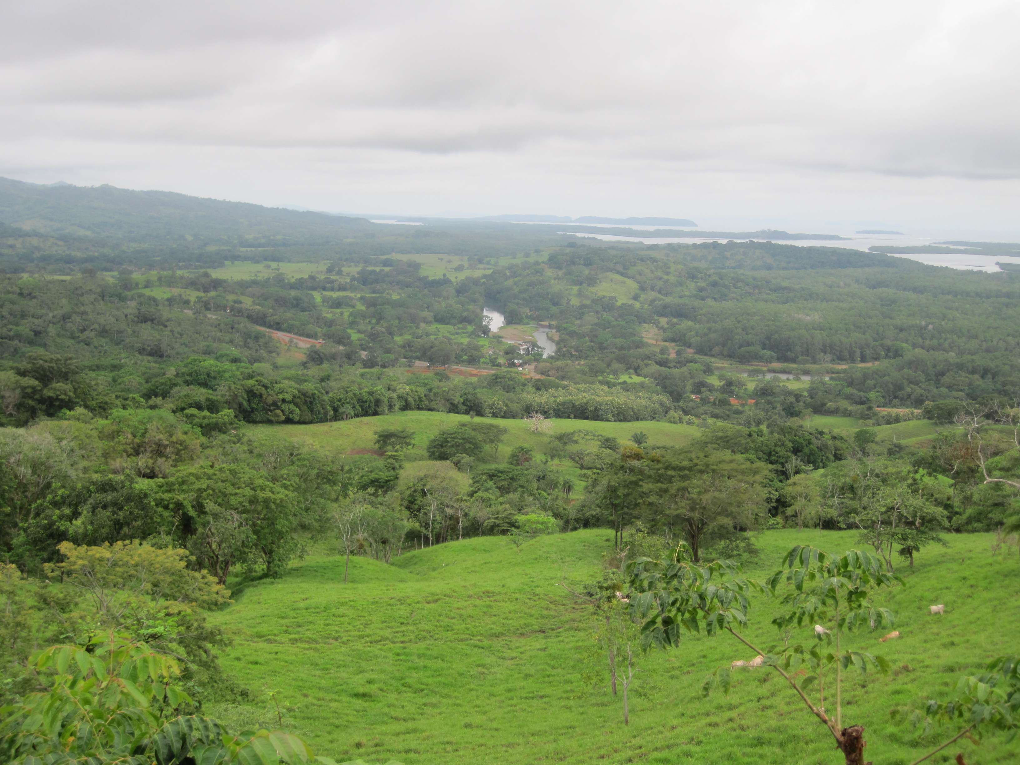 Chiriqui