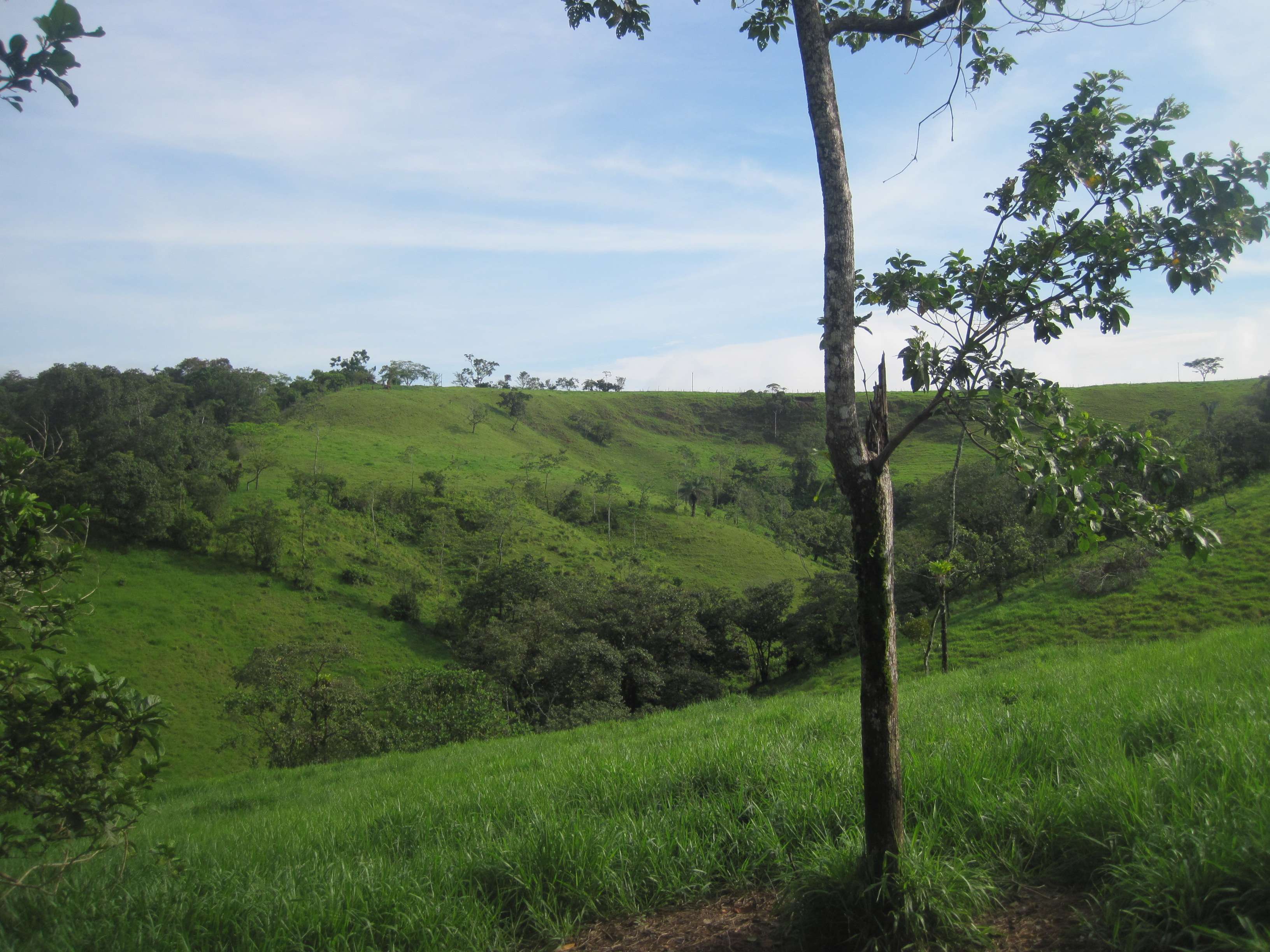 Chiriqui