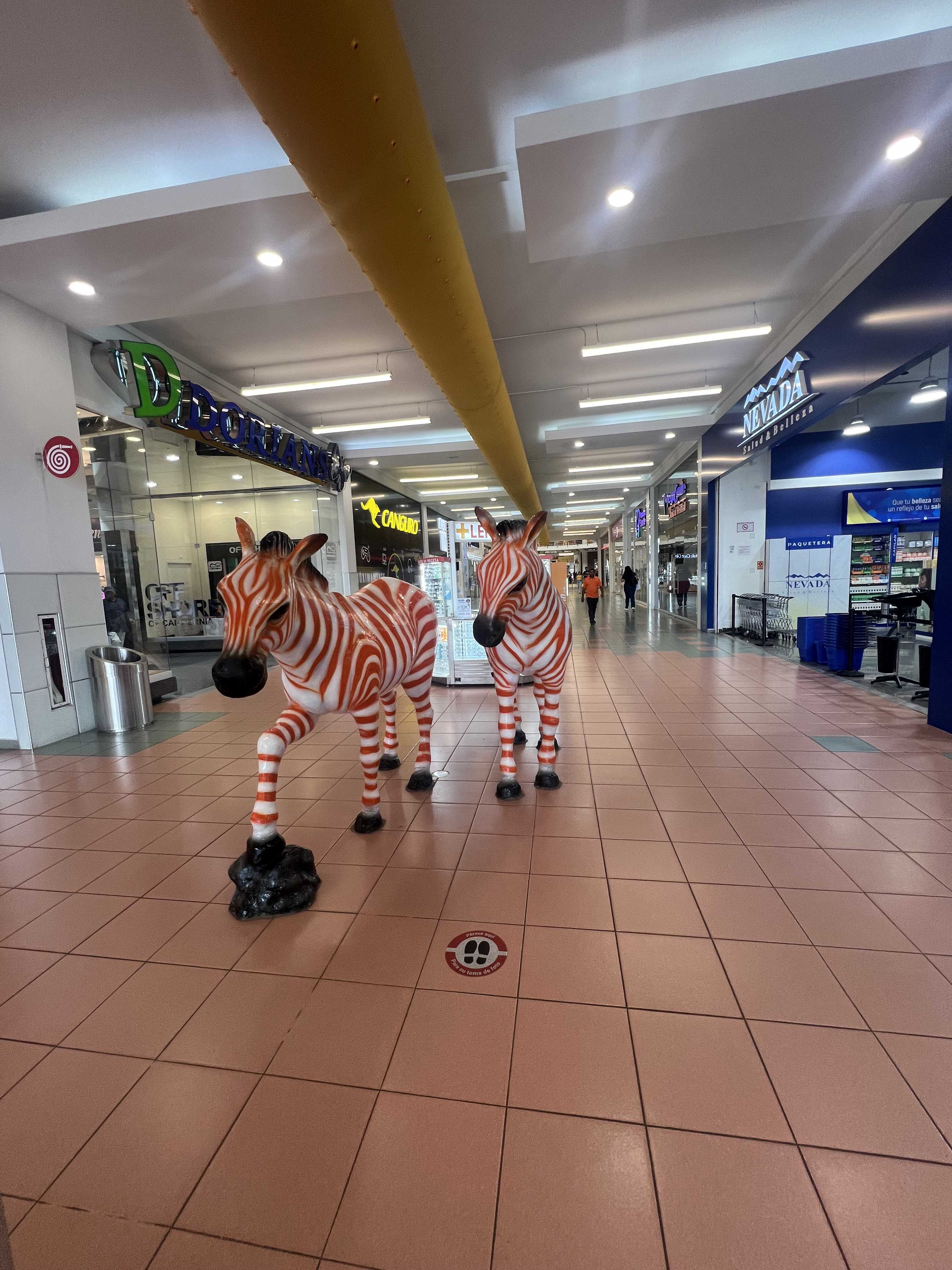 Albrook