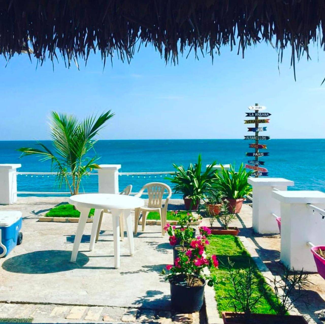 El Palmar