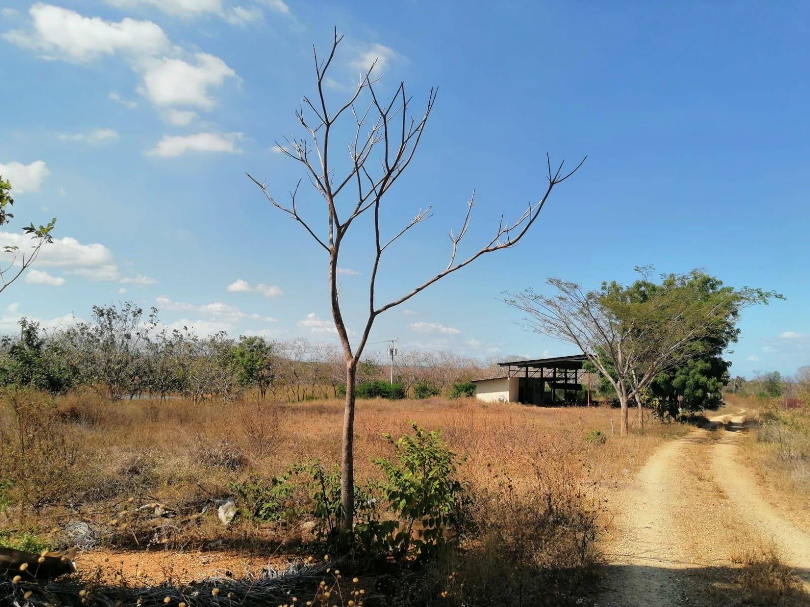 Parita