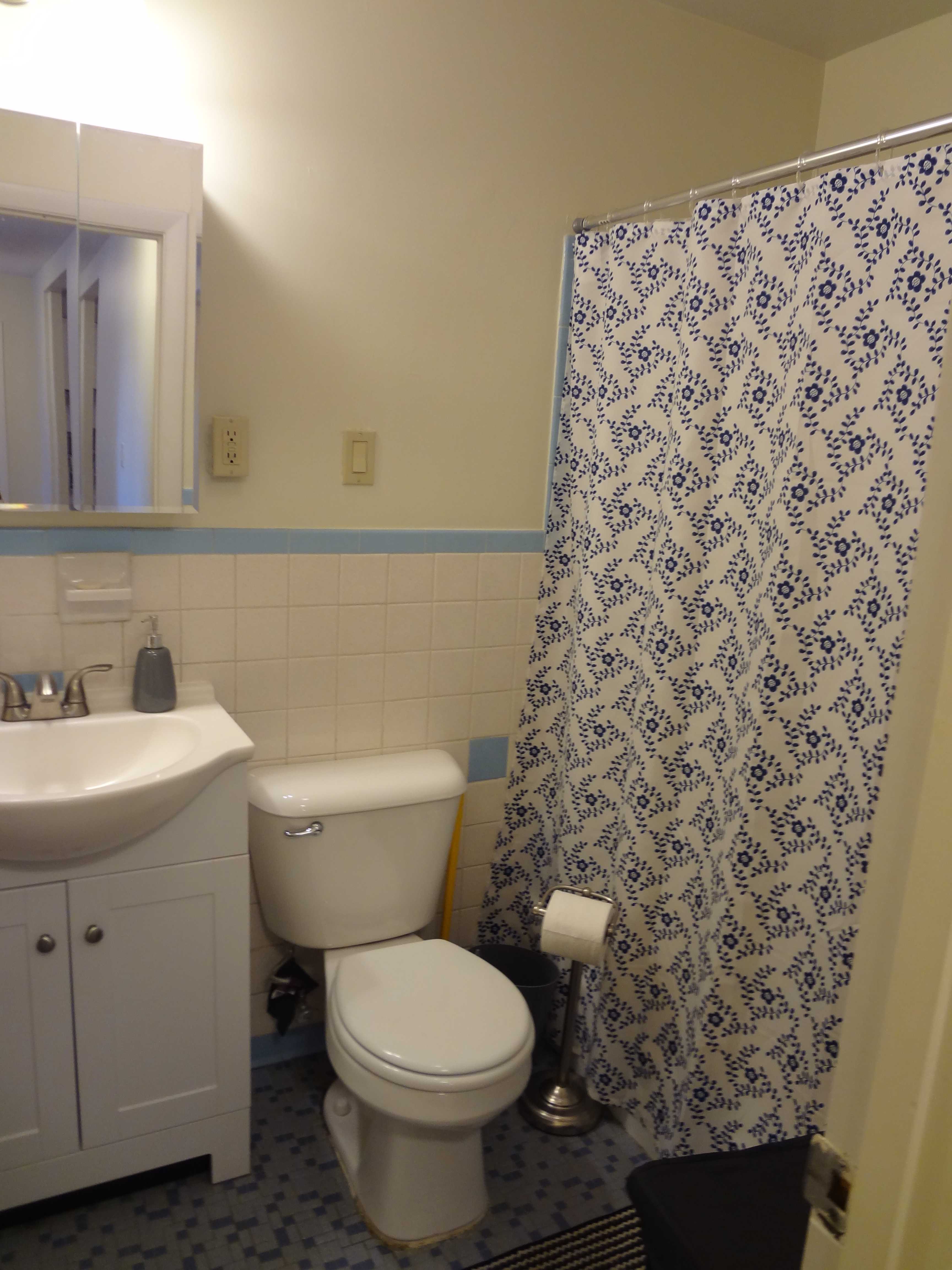 171 South St #18B, Jamaica Plain, MA 02130-3919