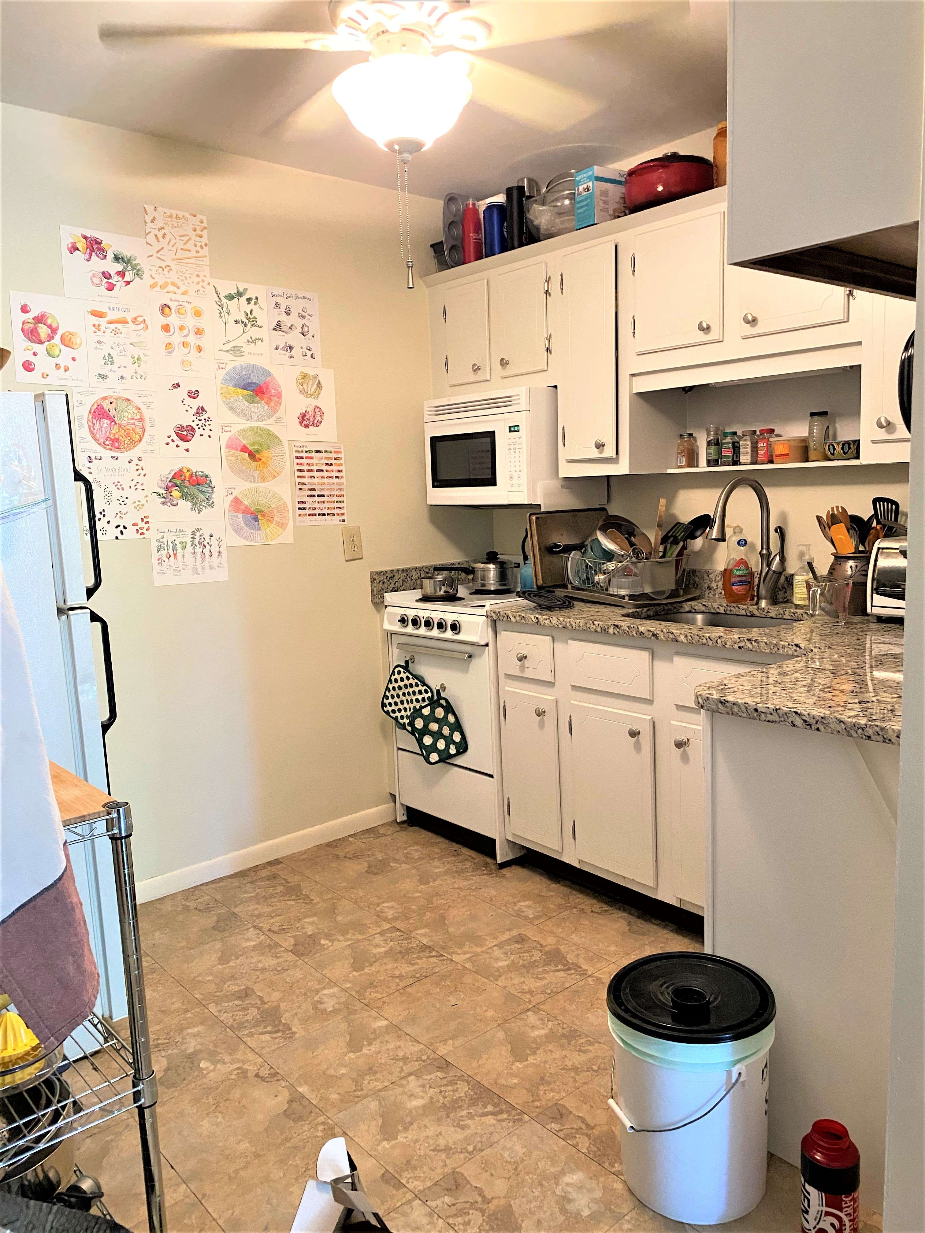 171 South St #18B, Jamaica Plain, MA 02130-3919