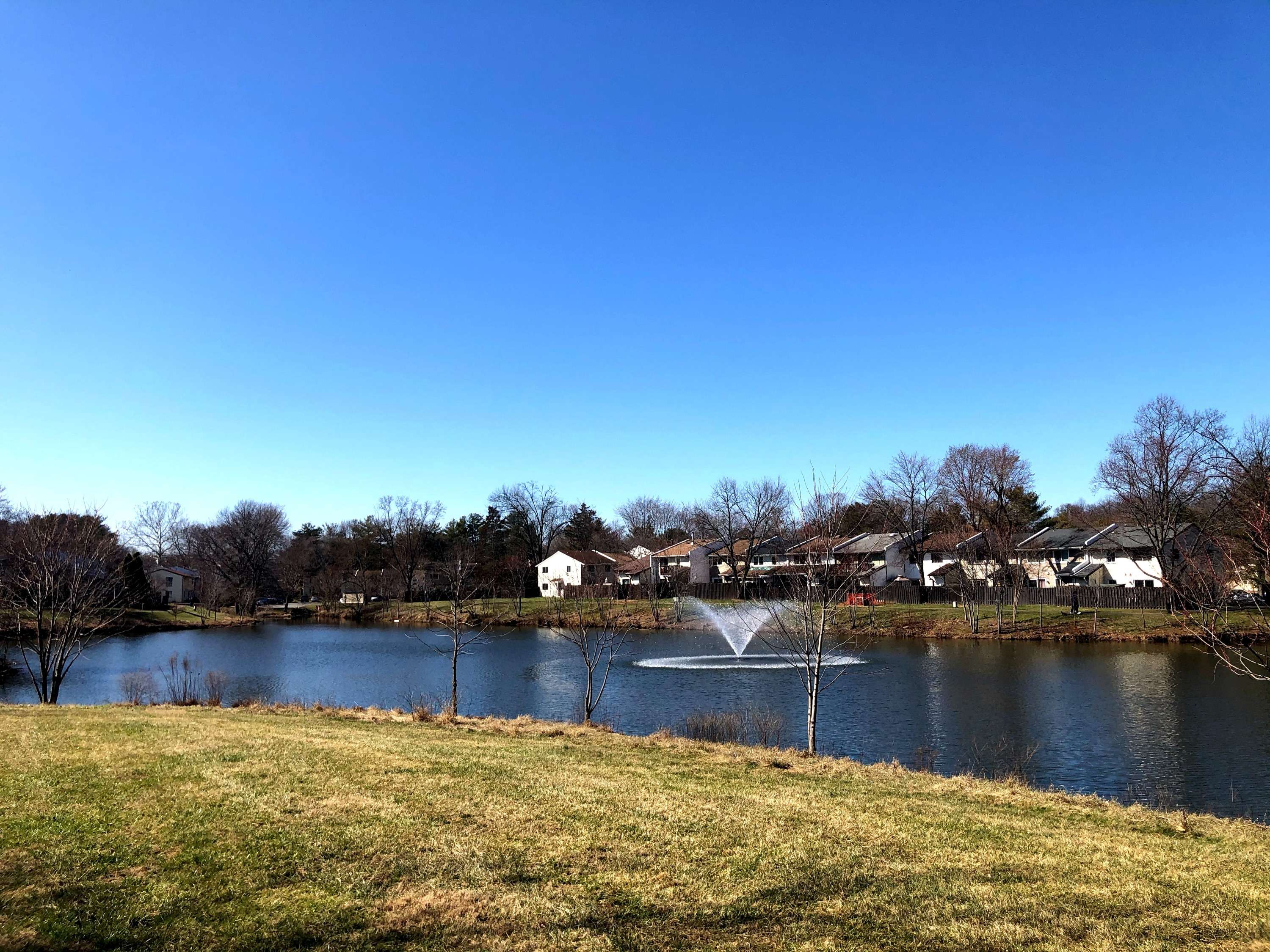 Sterling, VA 20164,207 North Cottage Road