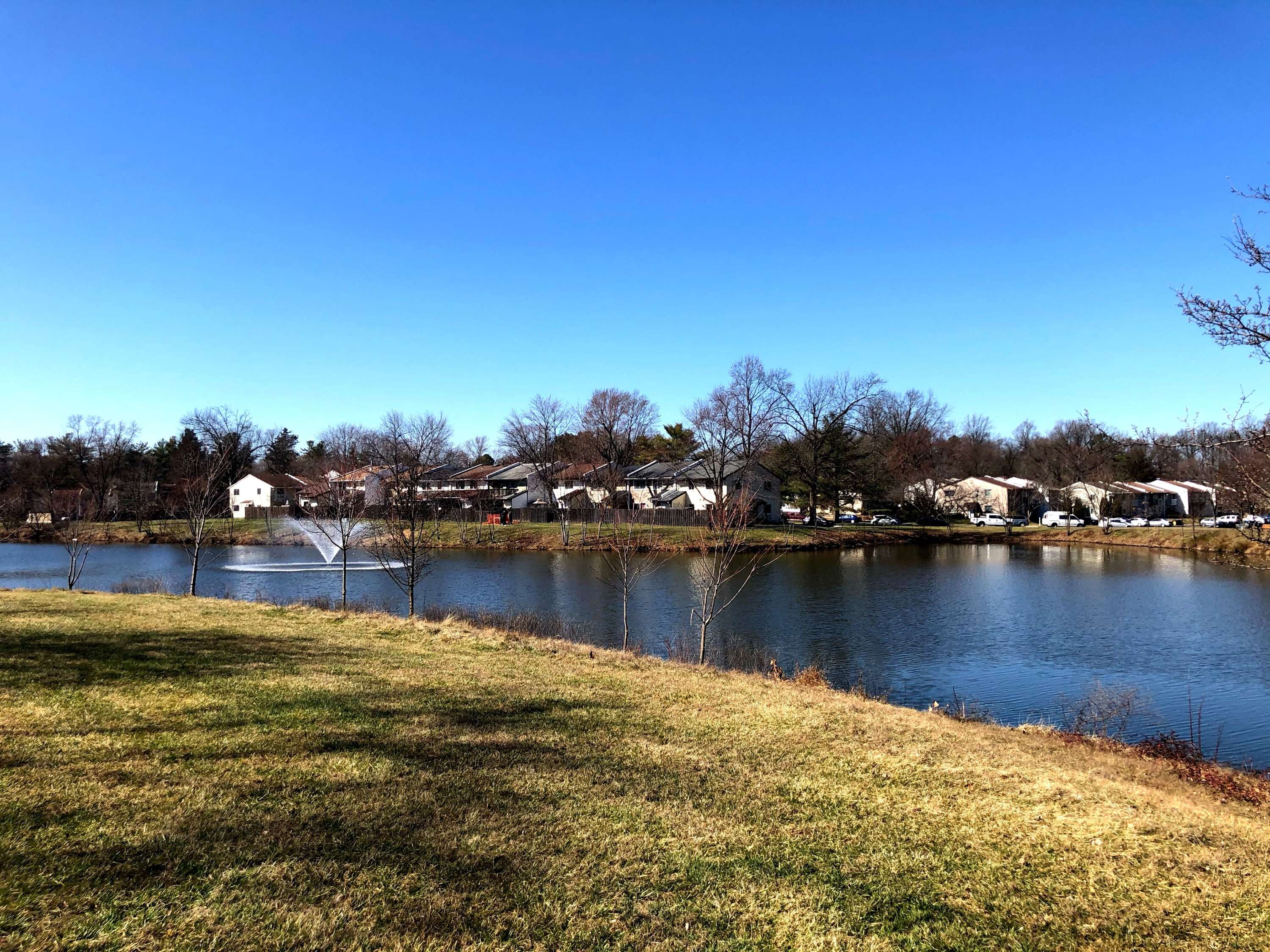 Sterling, VA 20164,207 North Cottage Road