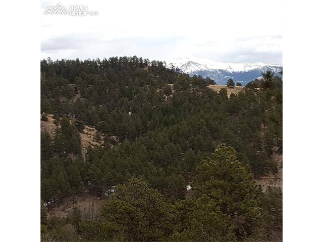 Florissant, CO 80816,390 Ponderosa Drive