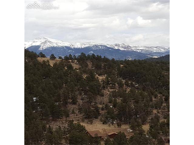 Florissant, CO 80816,390 Ponderosa Drive