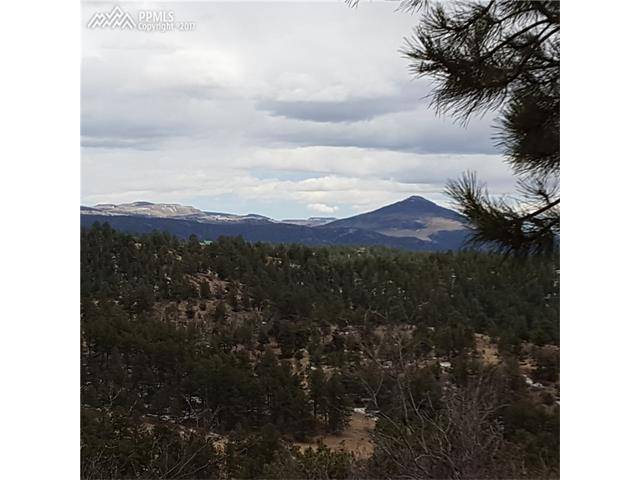 Florissant, CO 80816,390 Ponderosa Drive