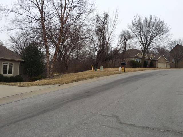 Parkville, MO 64152,Lot 46 River Hills DR