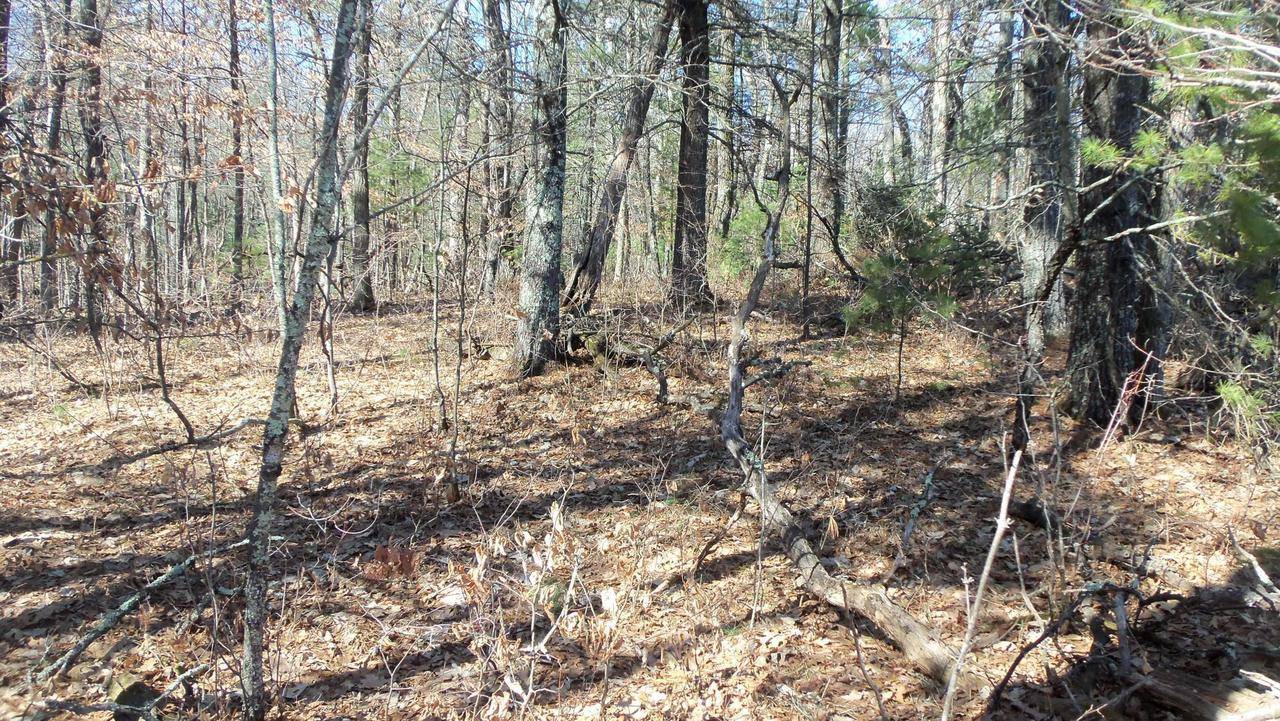 Grantsburg, WI 54840,LOT 5 LARSON RD