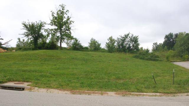 Blue Springs, MO 64014,902 SE CEDRUS LN