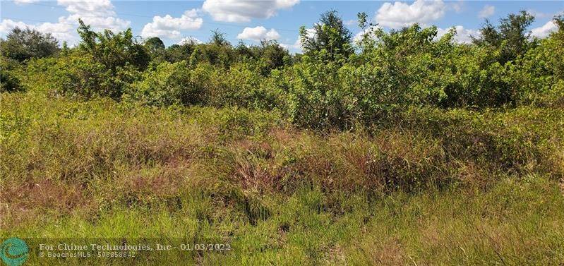 Other City - In The State Of Florida, FL 33972,1605 Wells