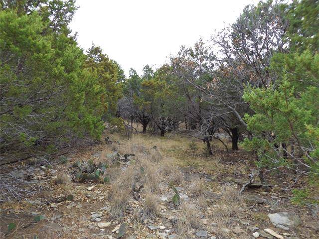 Possum Kingdom Lake, TX 76449,Lot 209 Harbour Town Drive