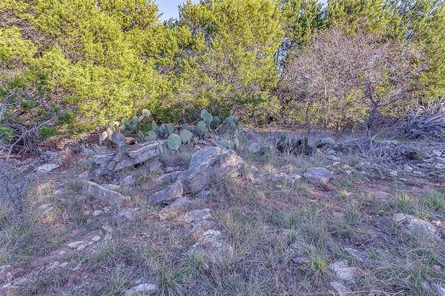 Graford, TX 76449,48 acre Mountain Drive