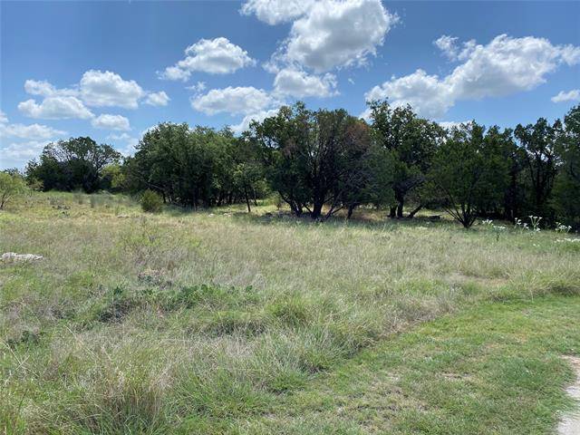 Graford, TX 76449,Lot121 Pine Valley Drive