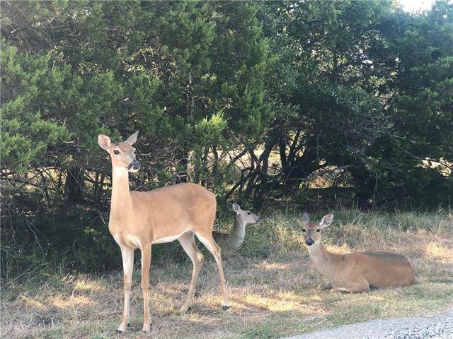 Possum Kingdom Lake, TX 76449,20 Oakland Hills Drive