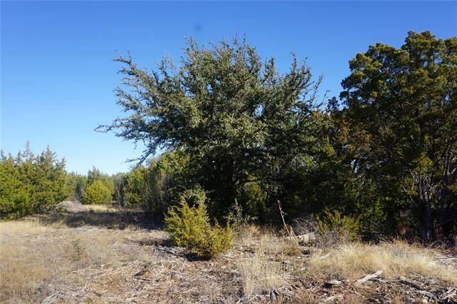 Possum Kingdom Lake, TX 76449,1060 Enchanted Rock Court