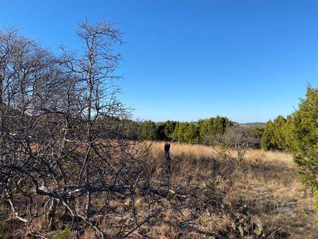 Graford, TX 76449,Lot95 Cliffs Drive