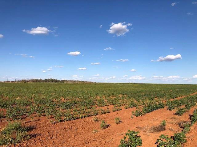 Rotan, TX 79546,TBD- County Road 213