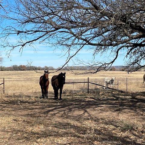 May, TX 76857,10864 County Road 417